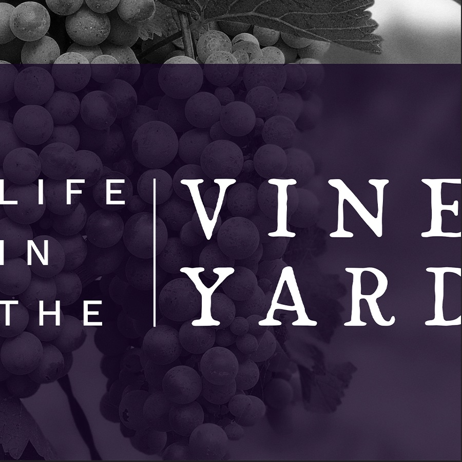 Life in the Vineyard: John 15:8-11
