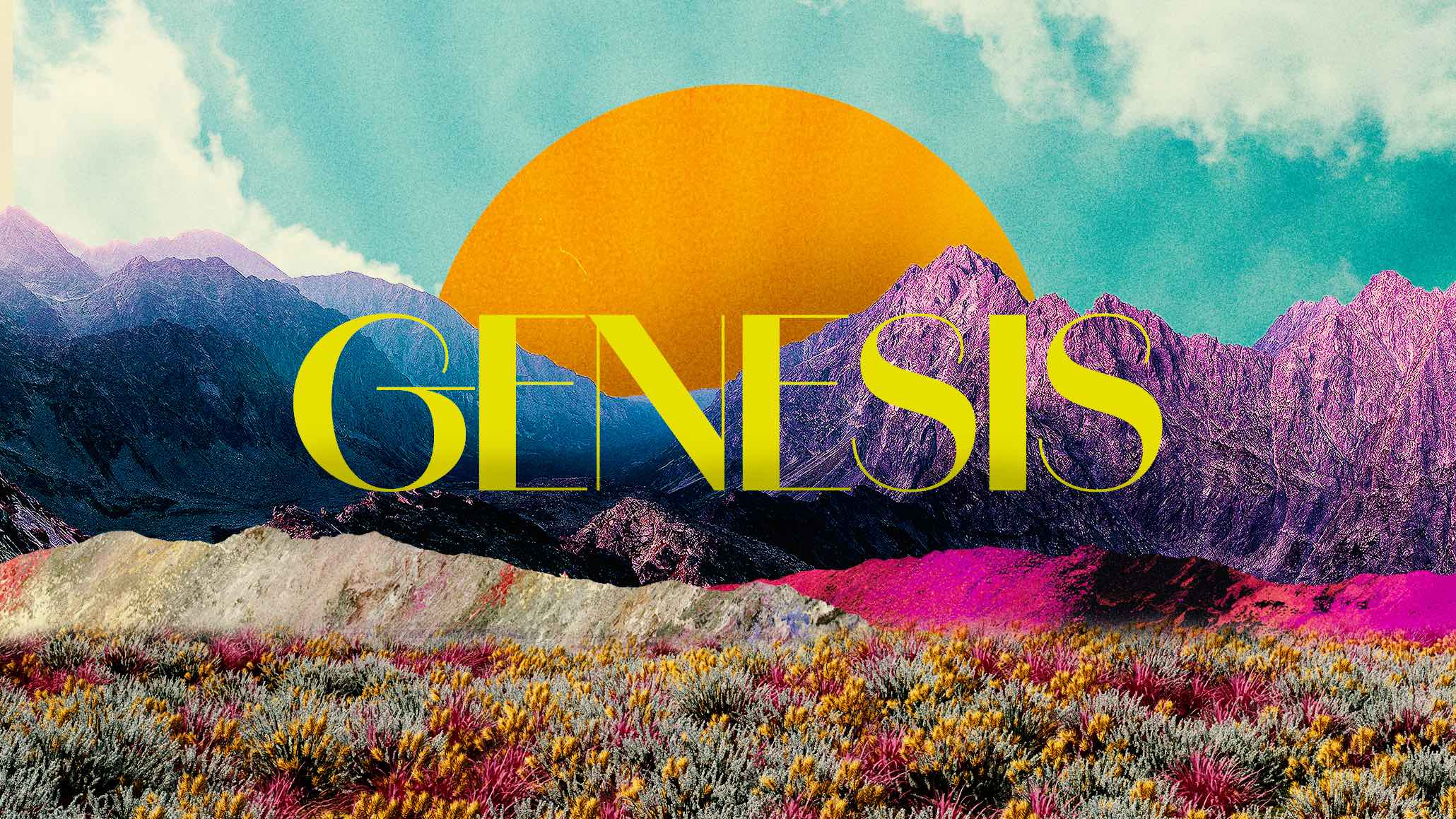 Genesis 1 - Image of God