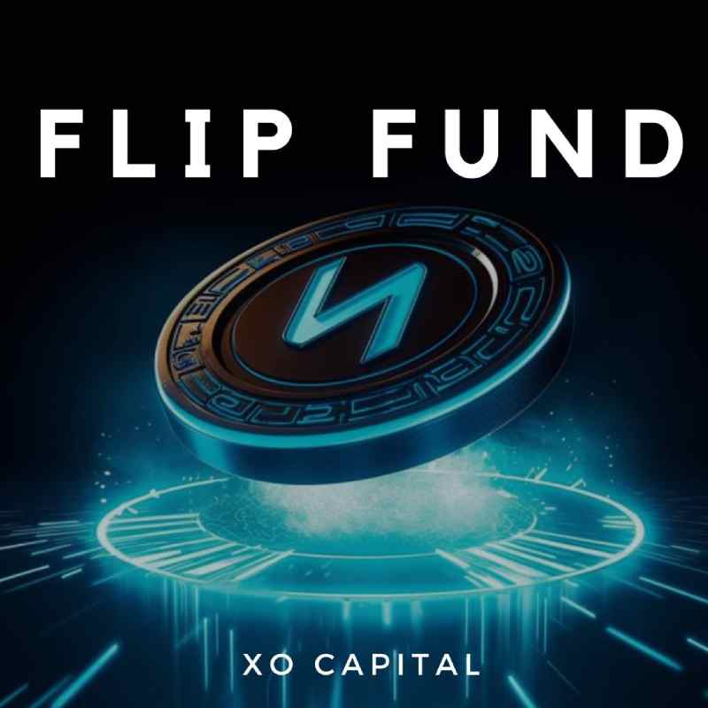 17 - Flip Fund