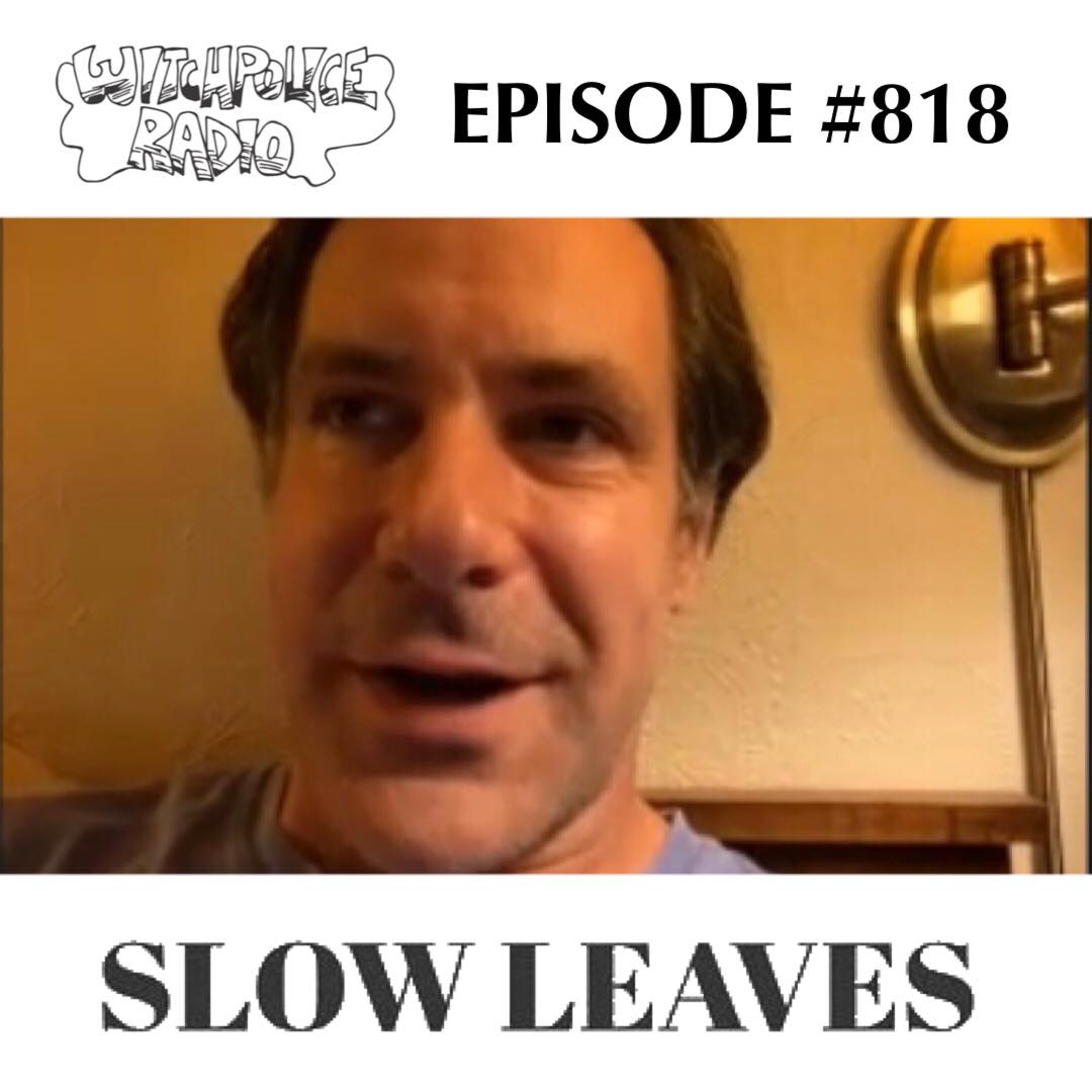 WR818: Slow Leaves
