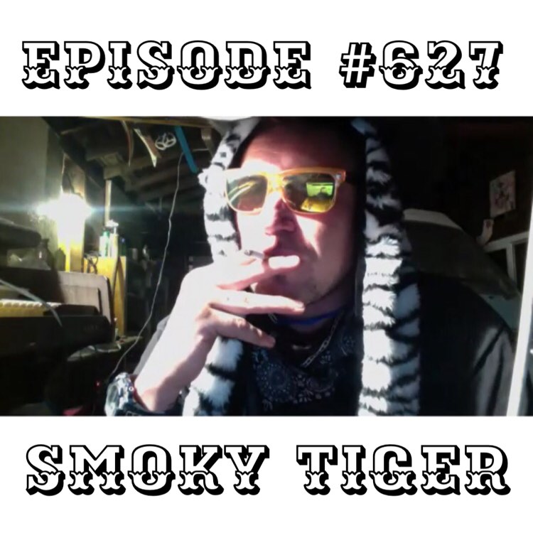 WR627: Smoky Tiger