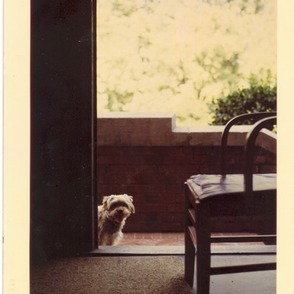 Episode Cover