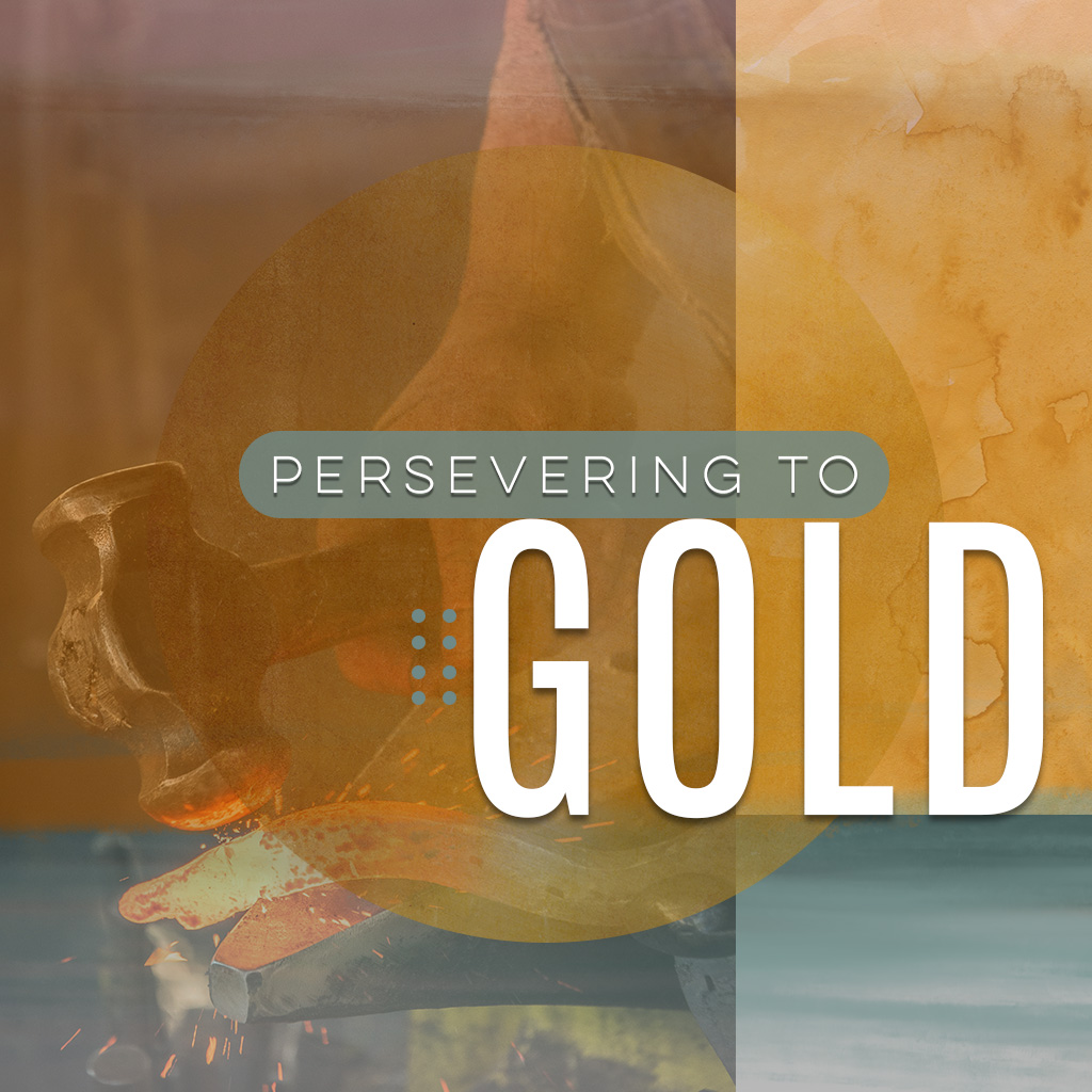 Persevering to Gold - Joe Guglielmo