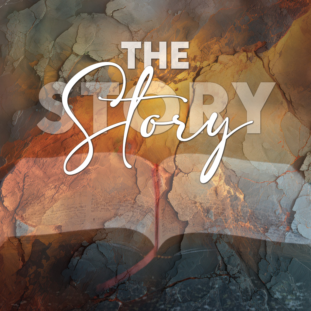 The Story - Tom Flaherty