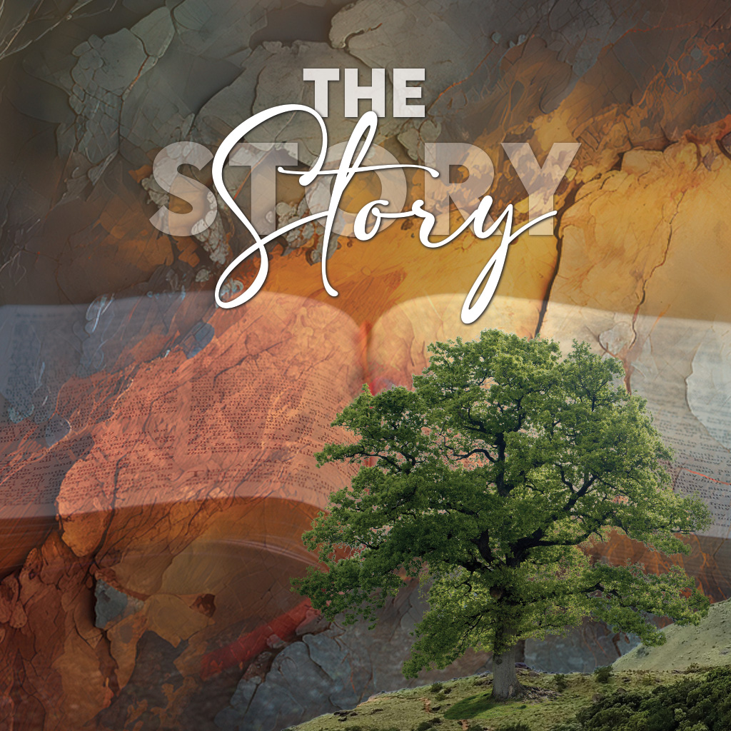 The Story - Part 16 - Joyce Guimond