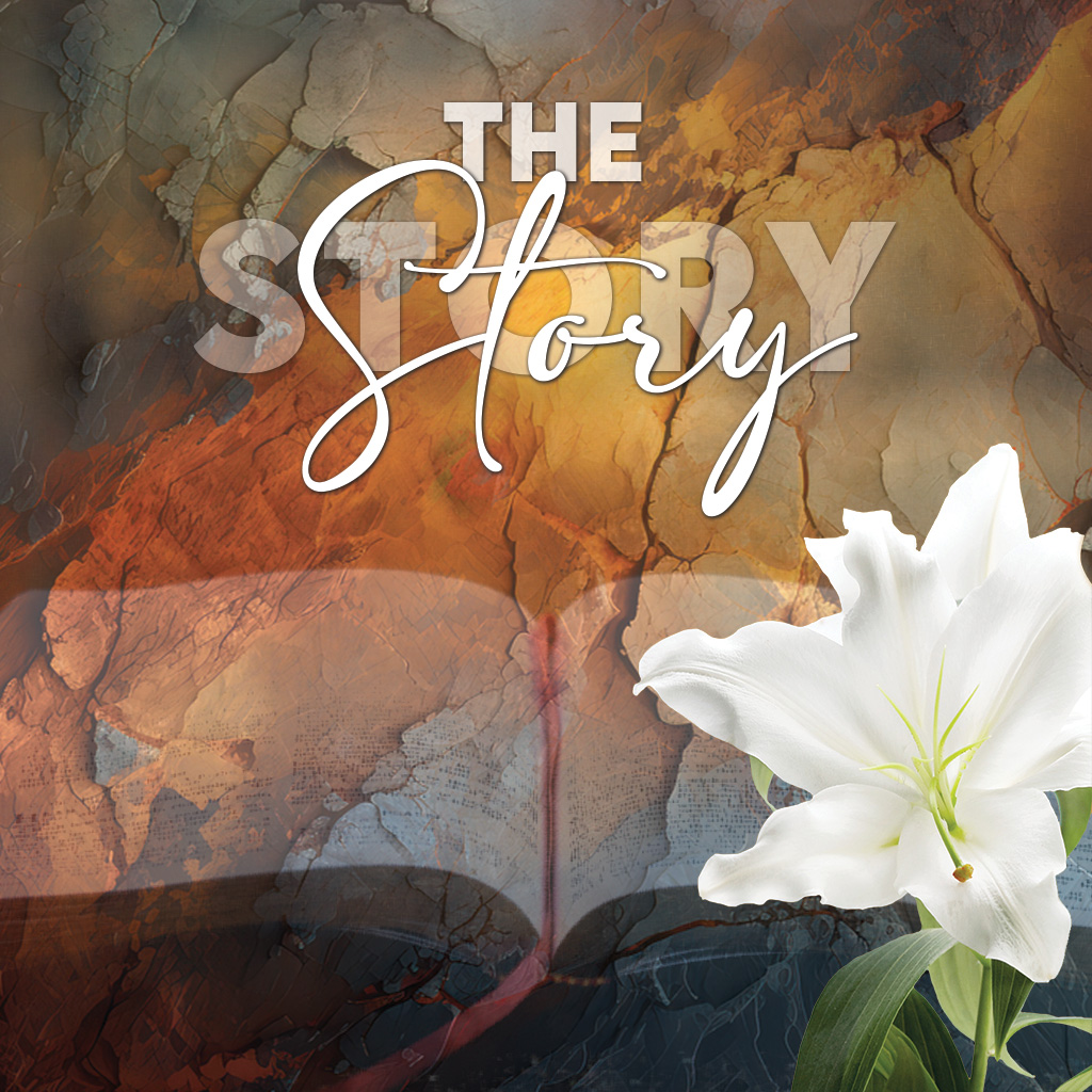 Episode Cover