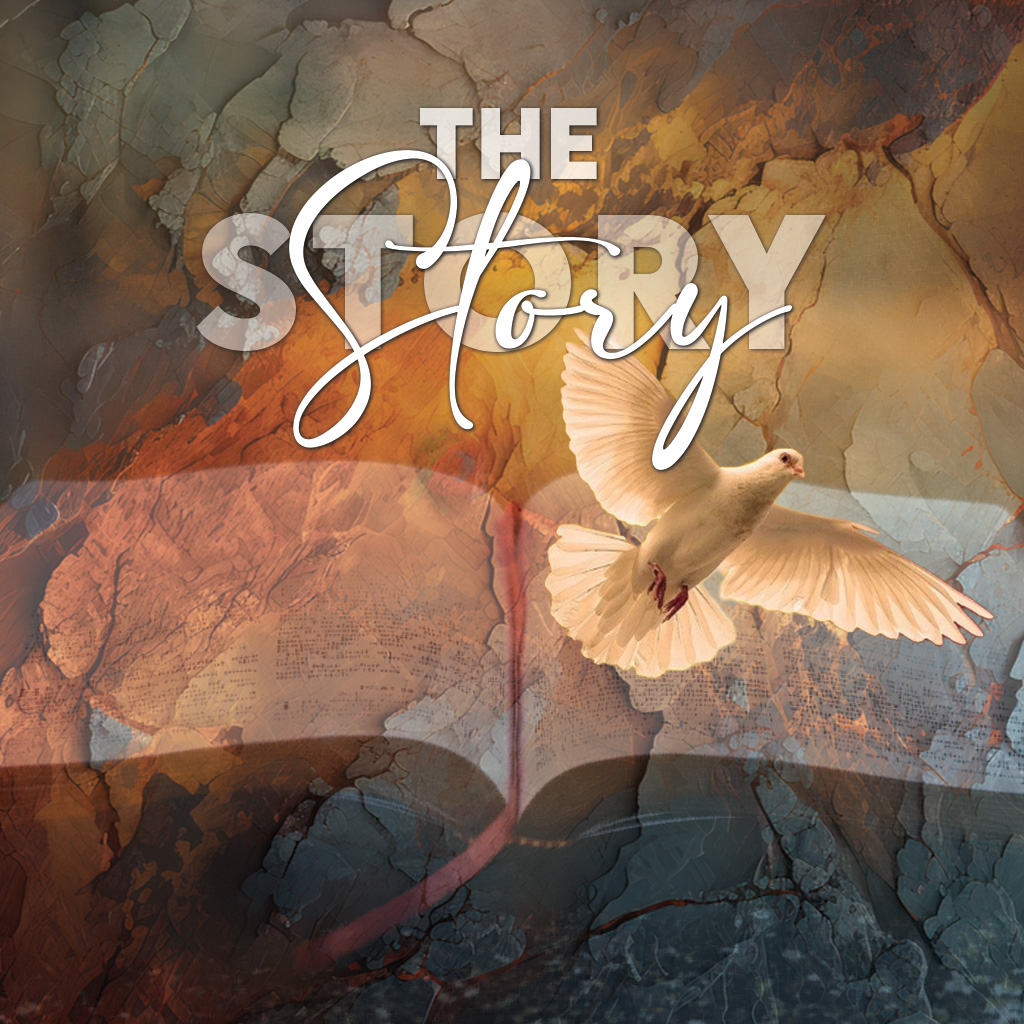 Episode Cover