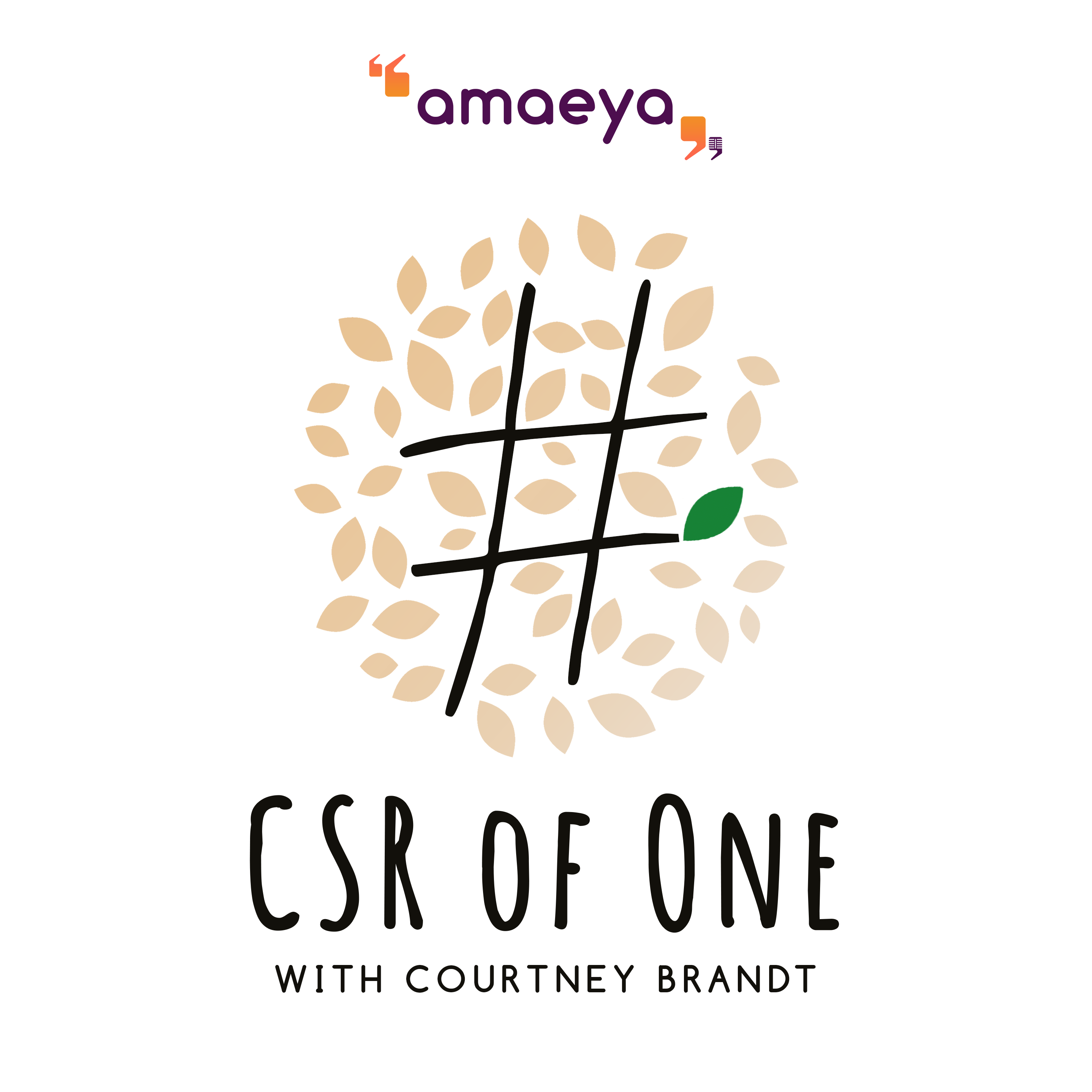Introducing: CSR of One