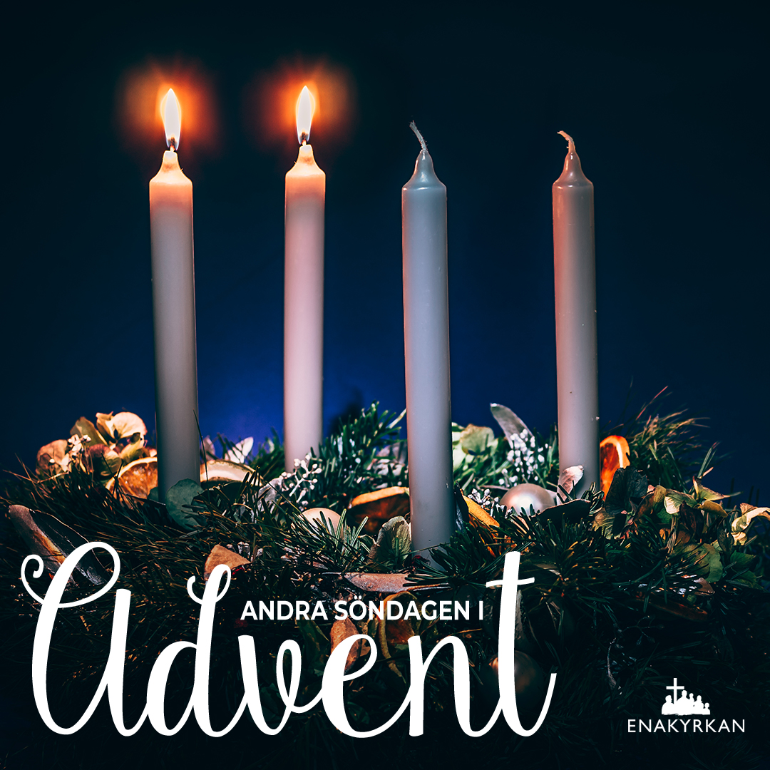 Evelina Svernedal – Advent (gudstjänst för alla åldrar)