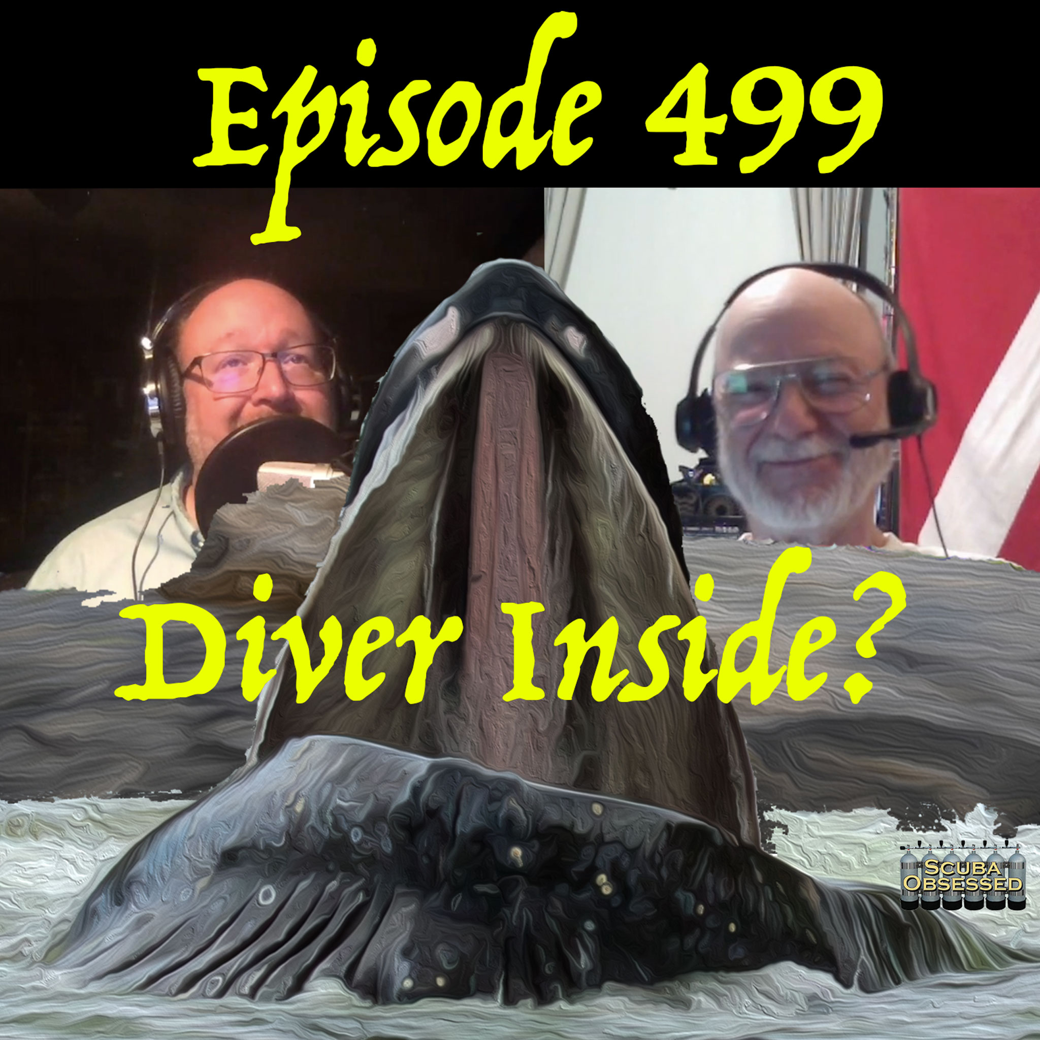 499 -Did a Scuba Diver Really Get Swallowed by a Whale & Why are Pipe Bombs in the Water?