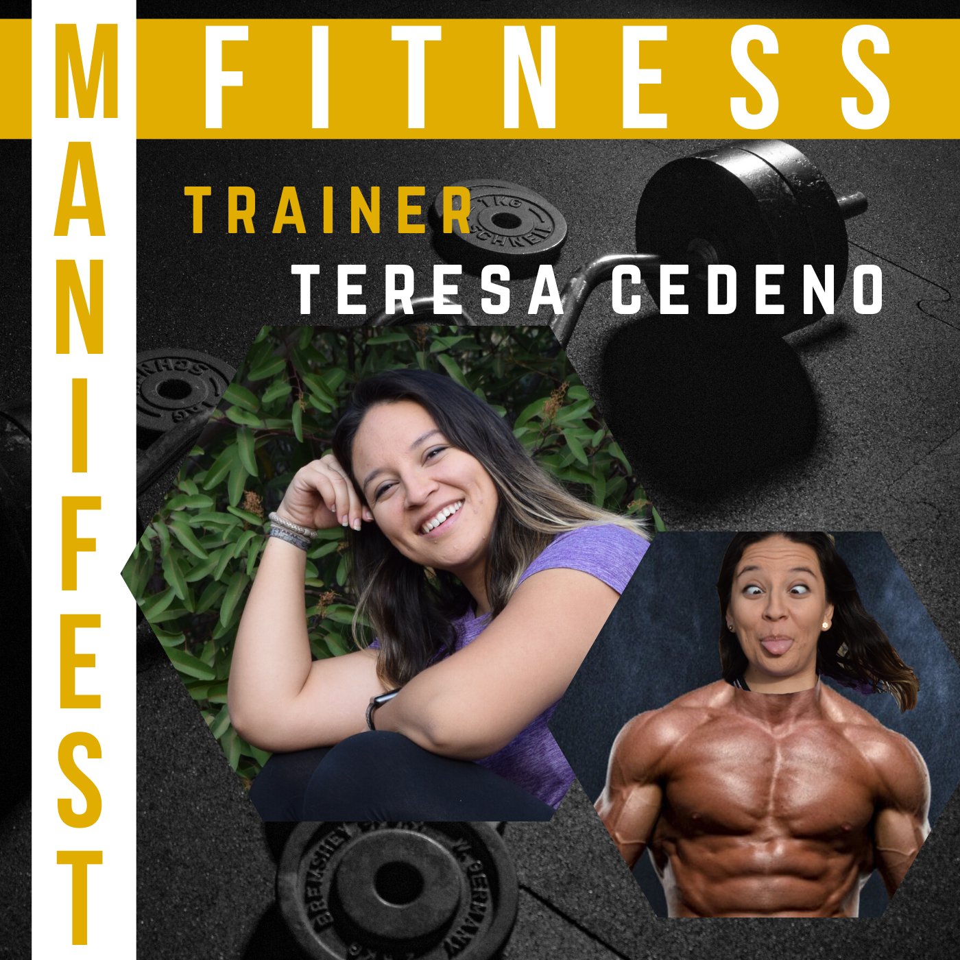 Fitness Manifest