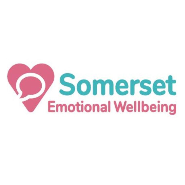 Somerset Wellbeing Learning Community