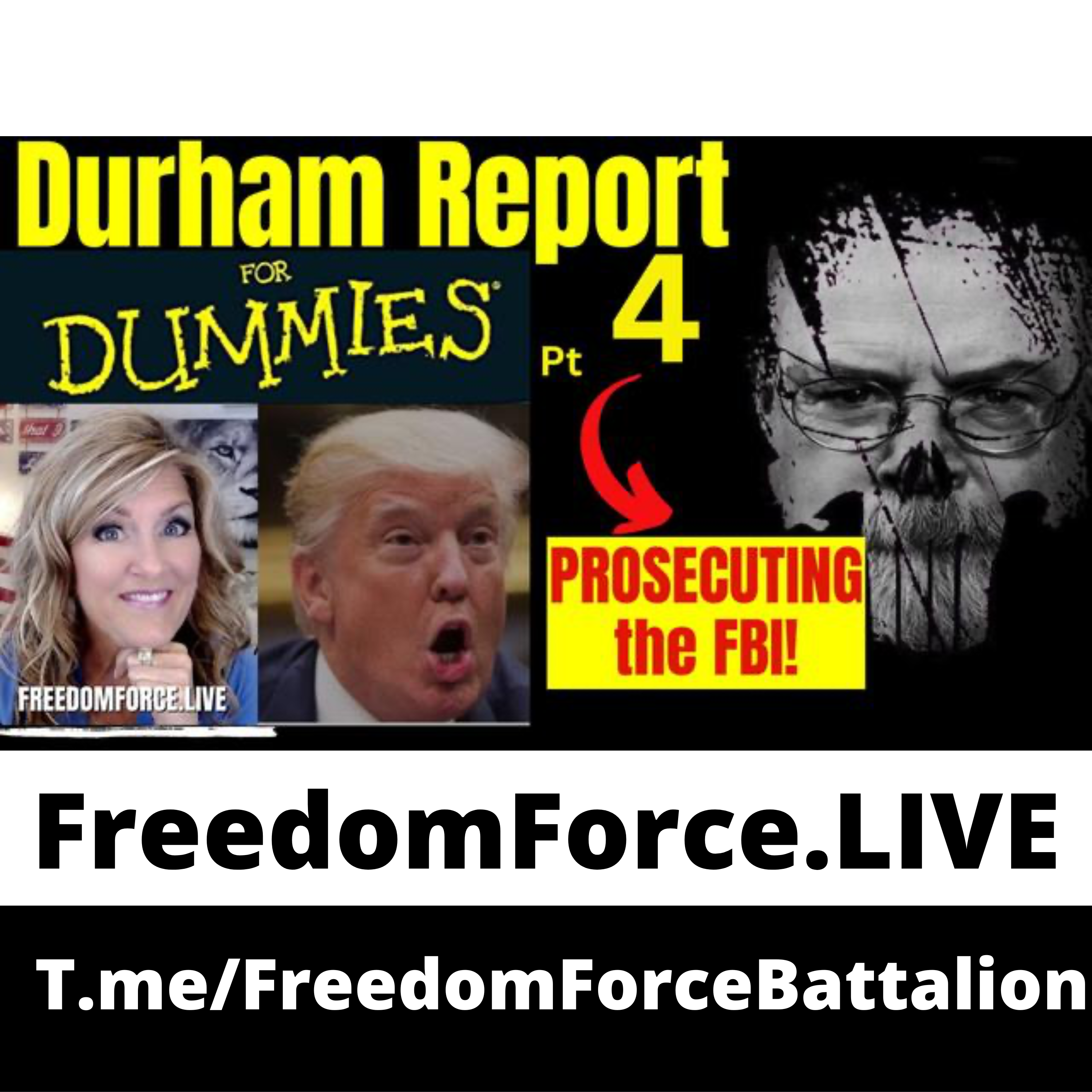 Durham Report Dummies #4 6.19.23