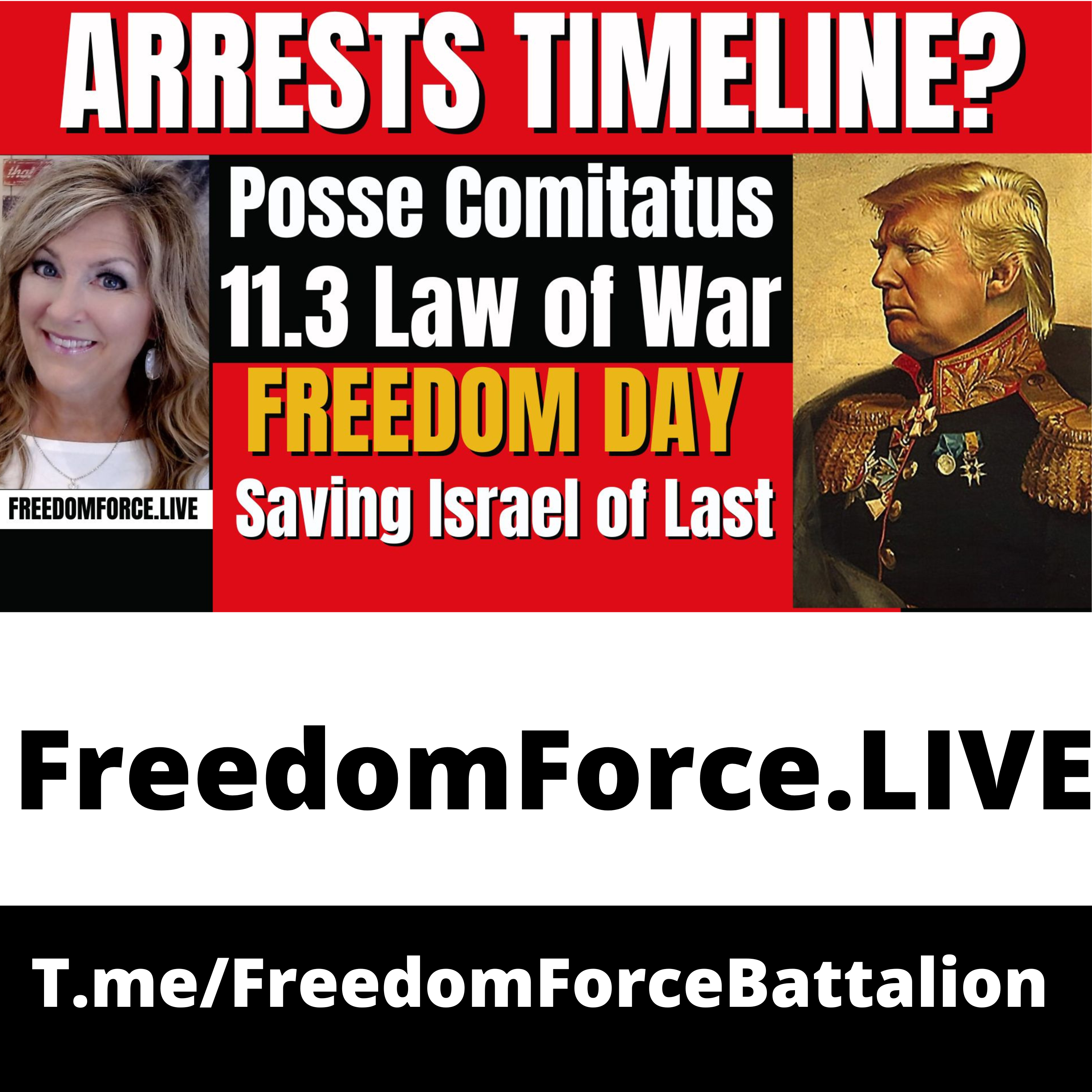 Arrests Timeline! Posse Comitatus 10-15-24