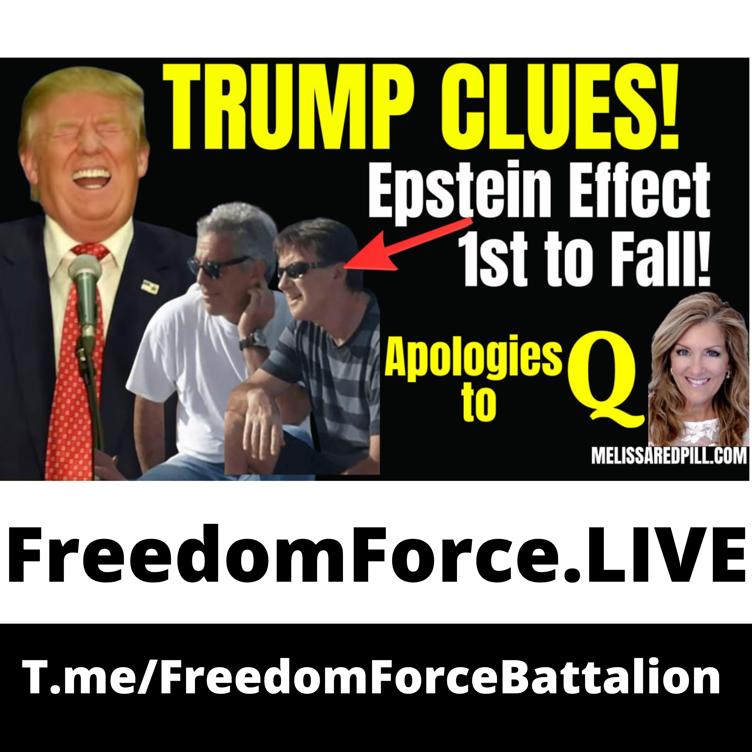 Epstein Fallout 2.8.26