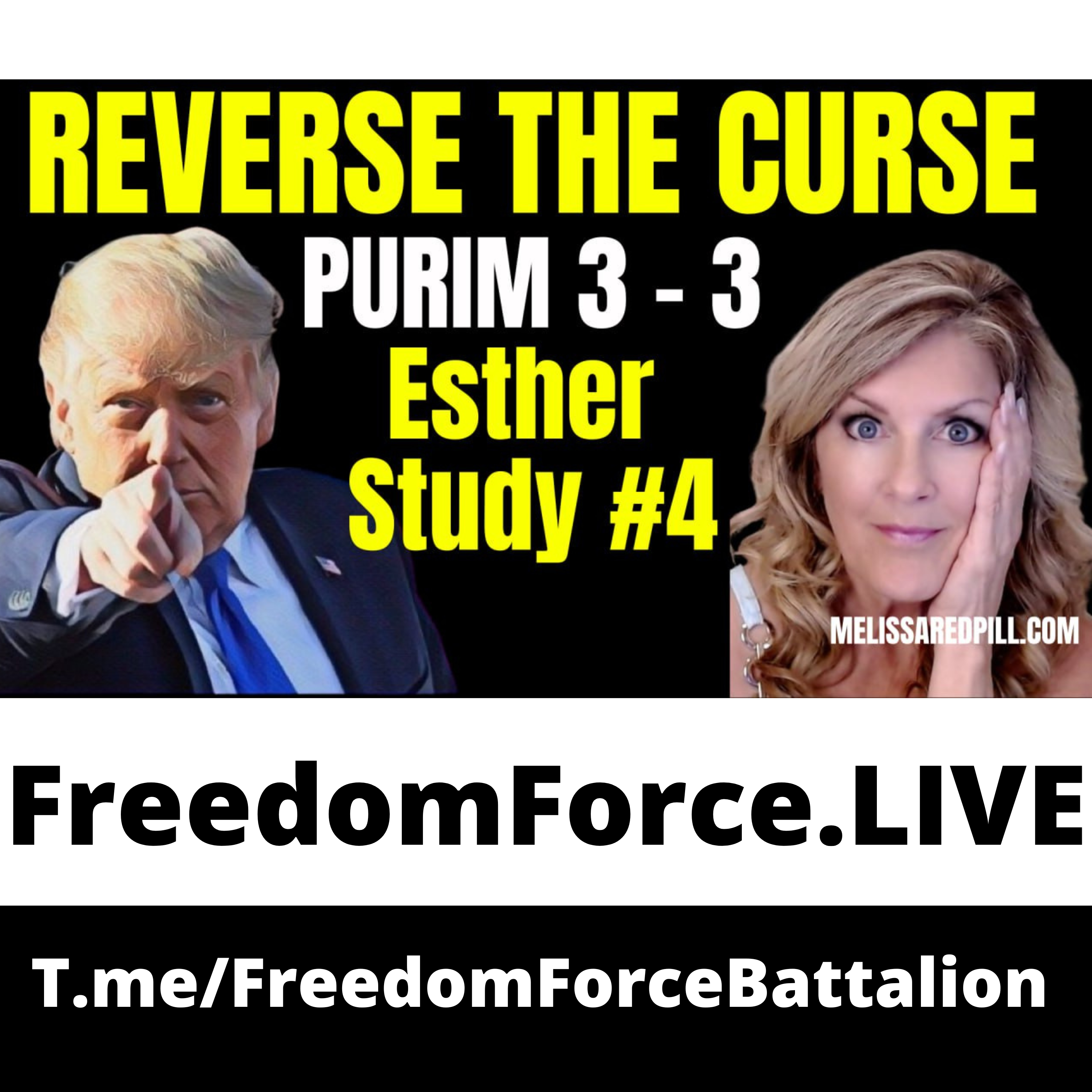 Esther Study #4 2.14.26