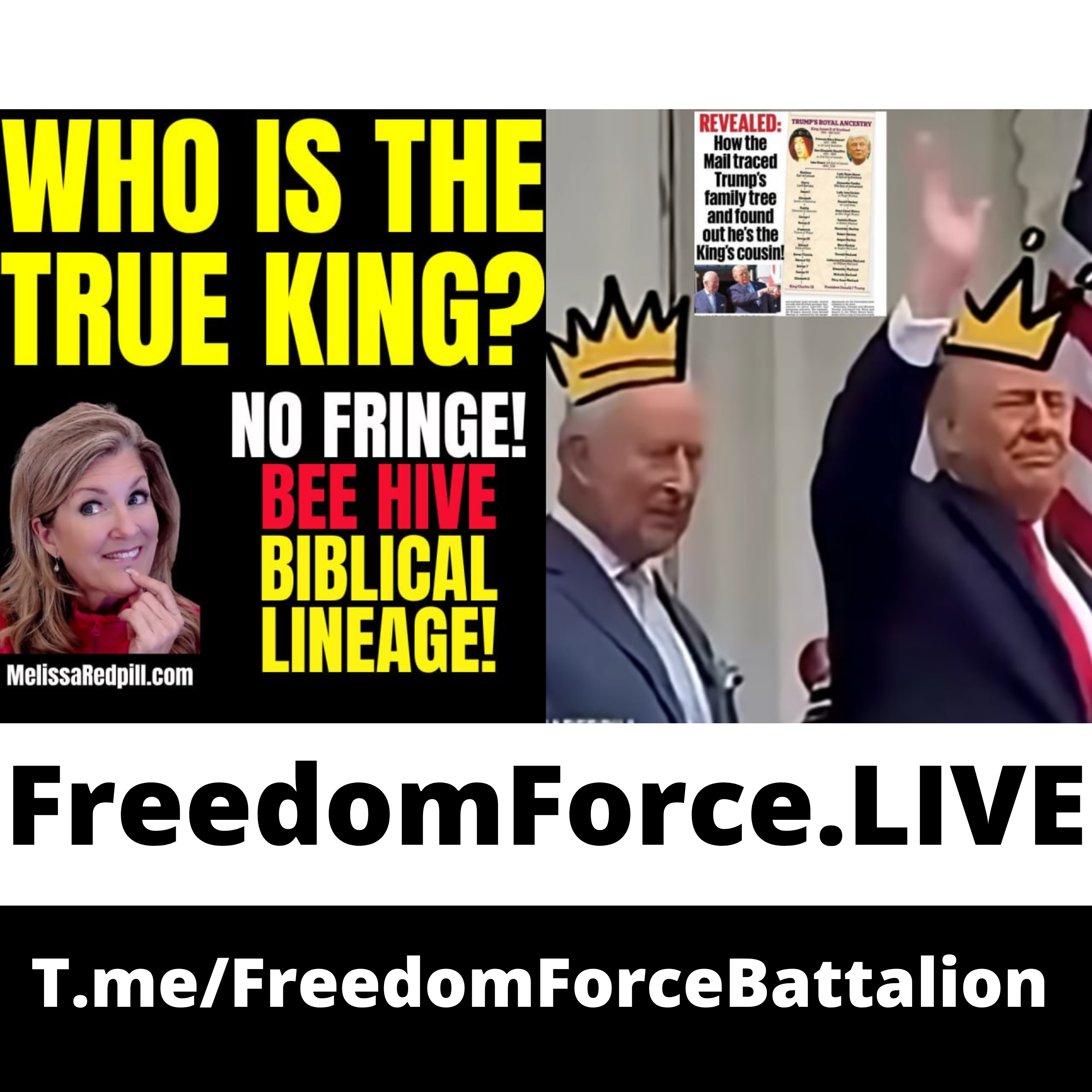 True King - Trump 5.2.26