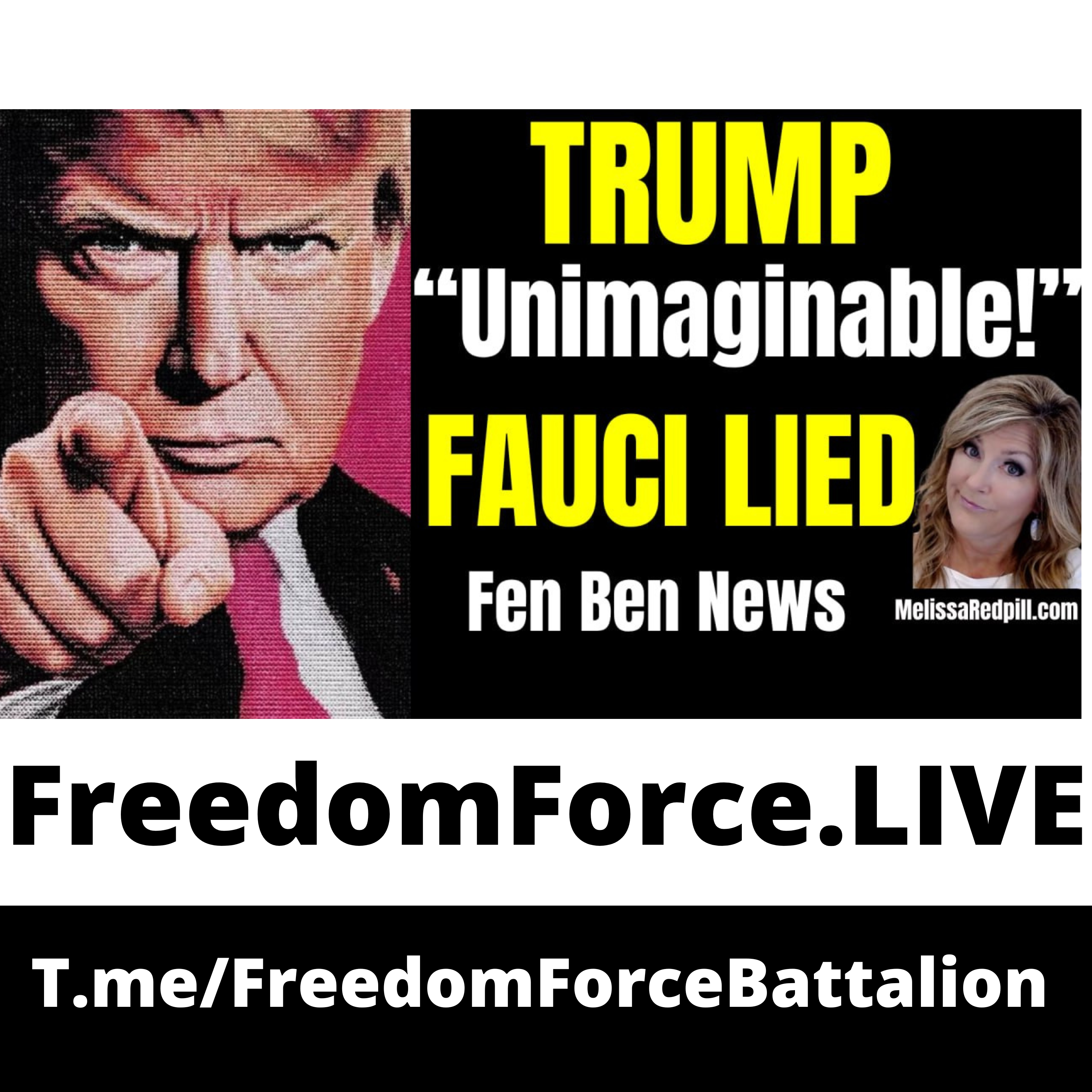 Fauci Lied 8.11.26