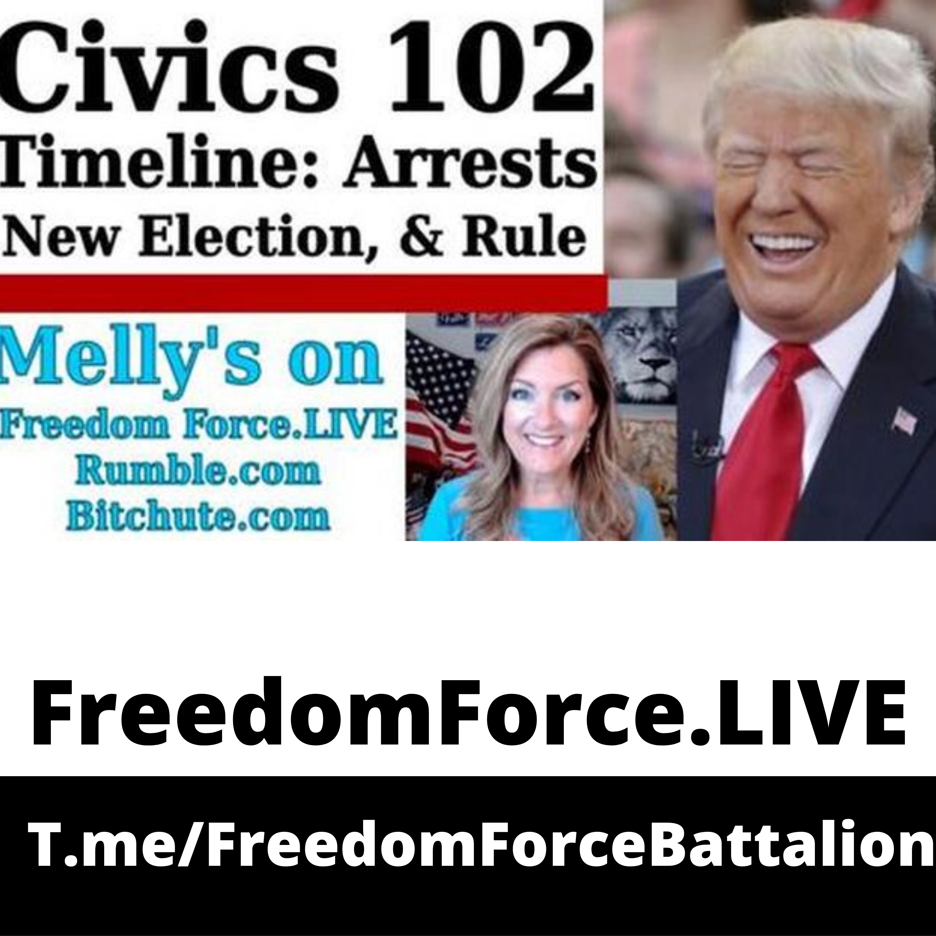 Civics 102 Arrests 11.21.20