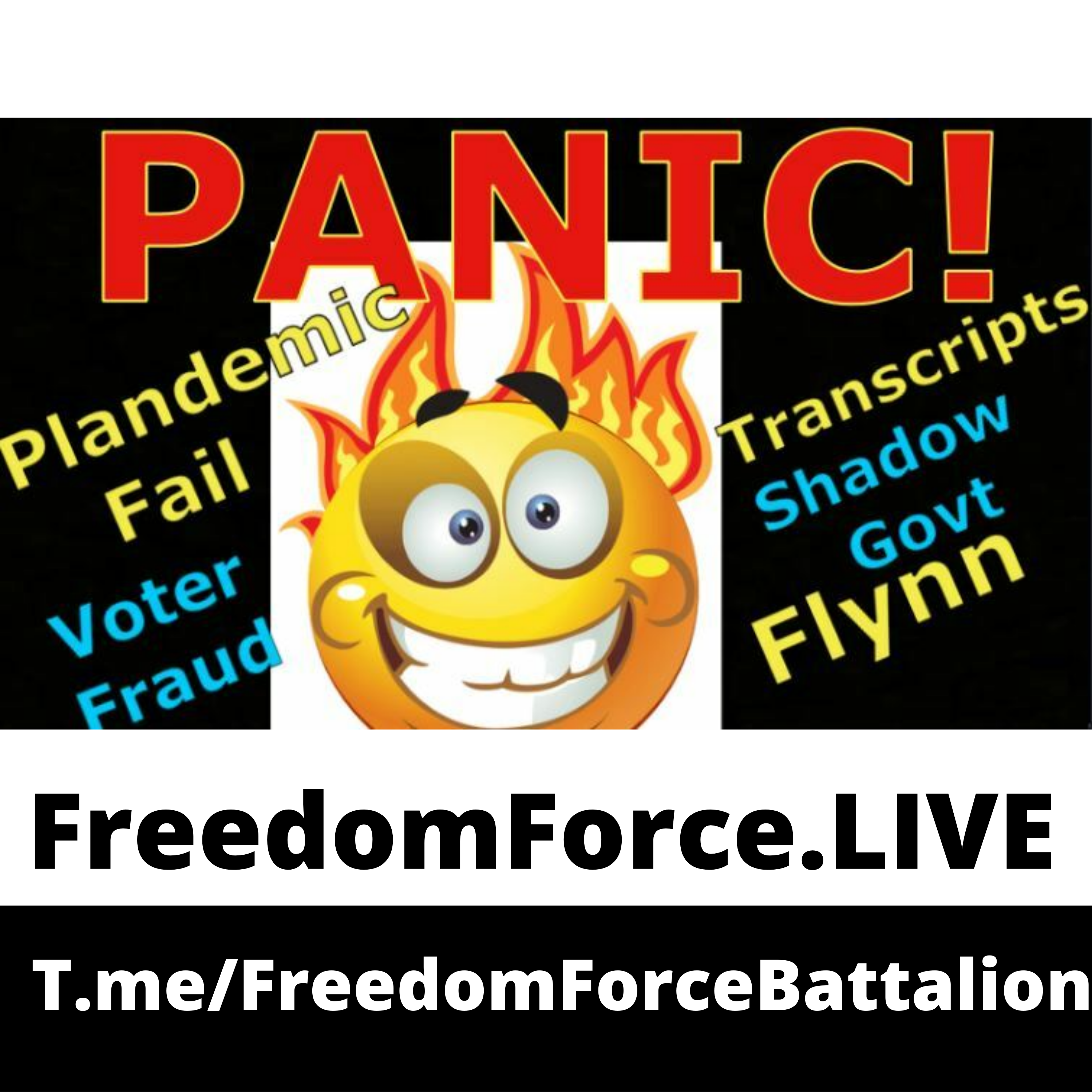 Plandemic / Flynn Pardoned