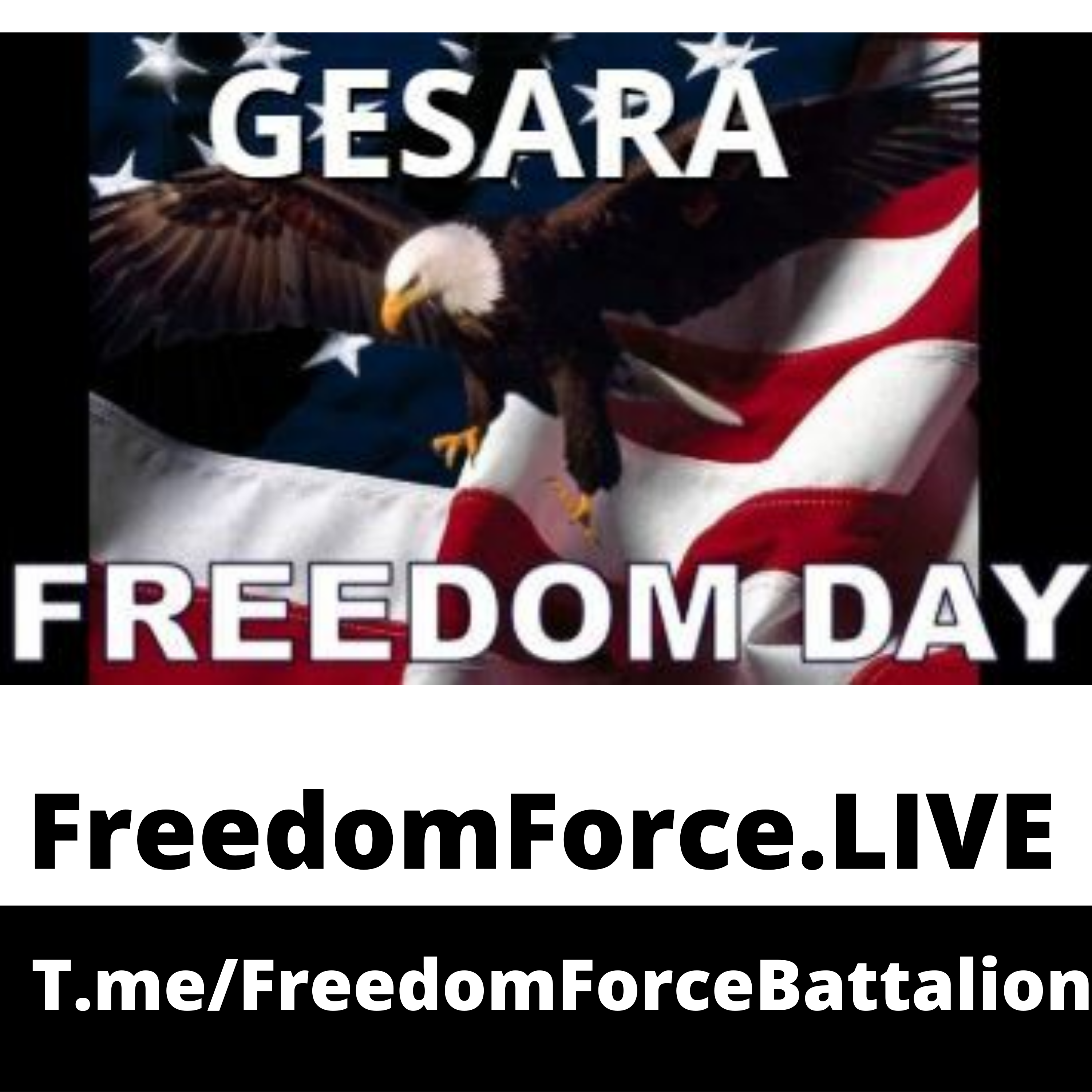Freedom Day -GESARA 7.4.19