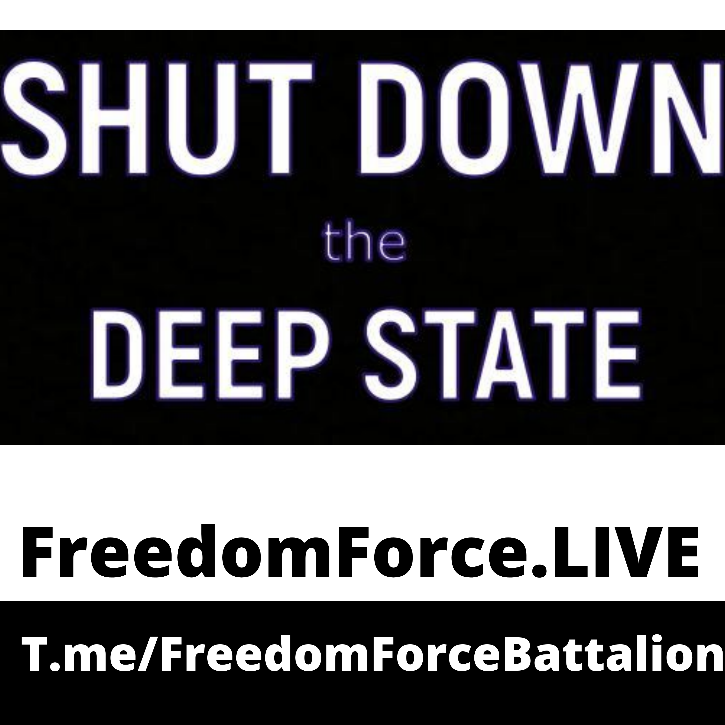 Shut Down Deep State 11.12.20