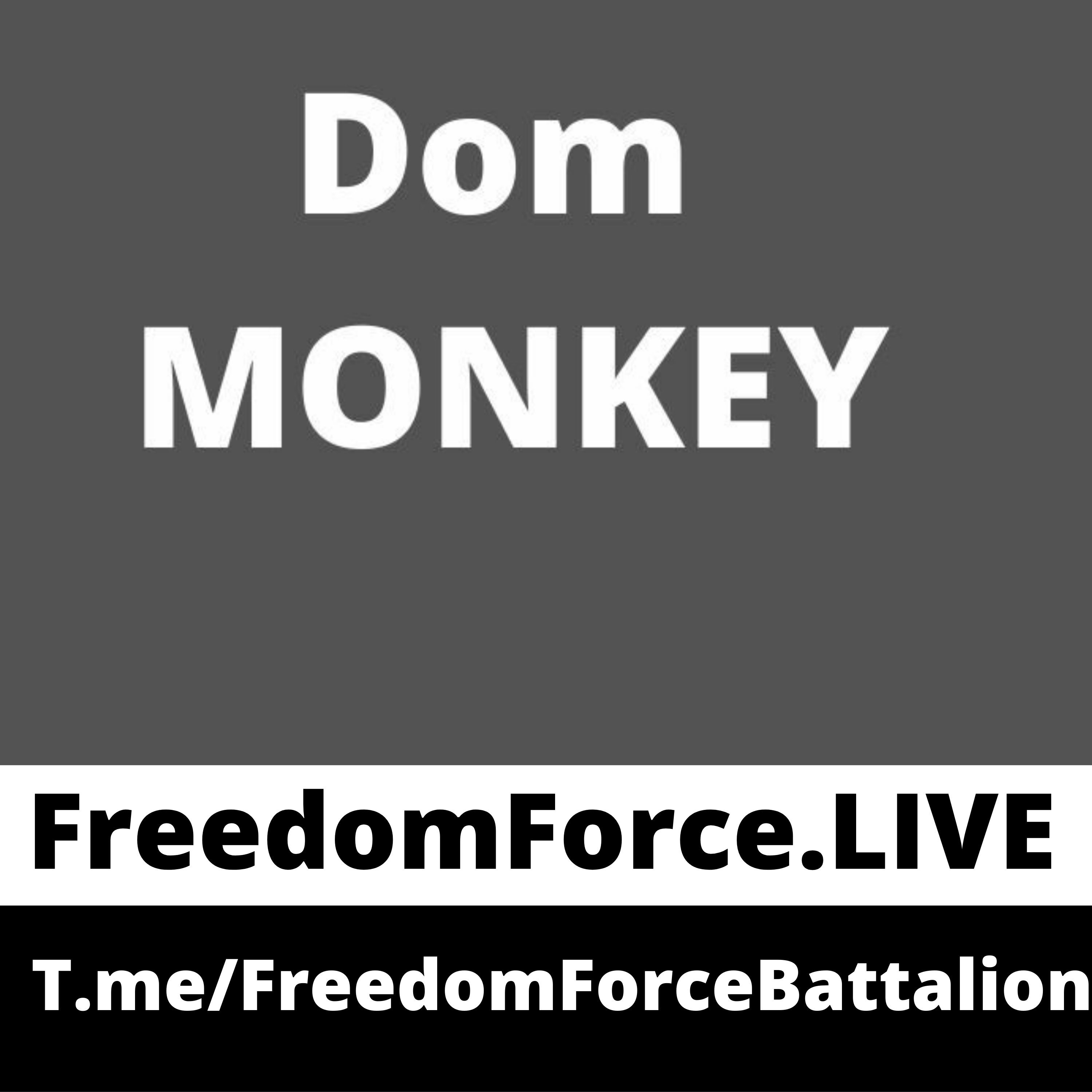 Dom Monkey 11.13.20
