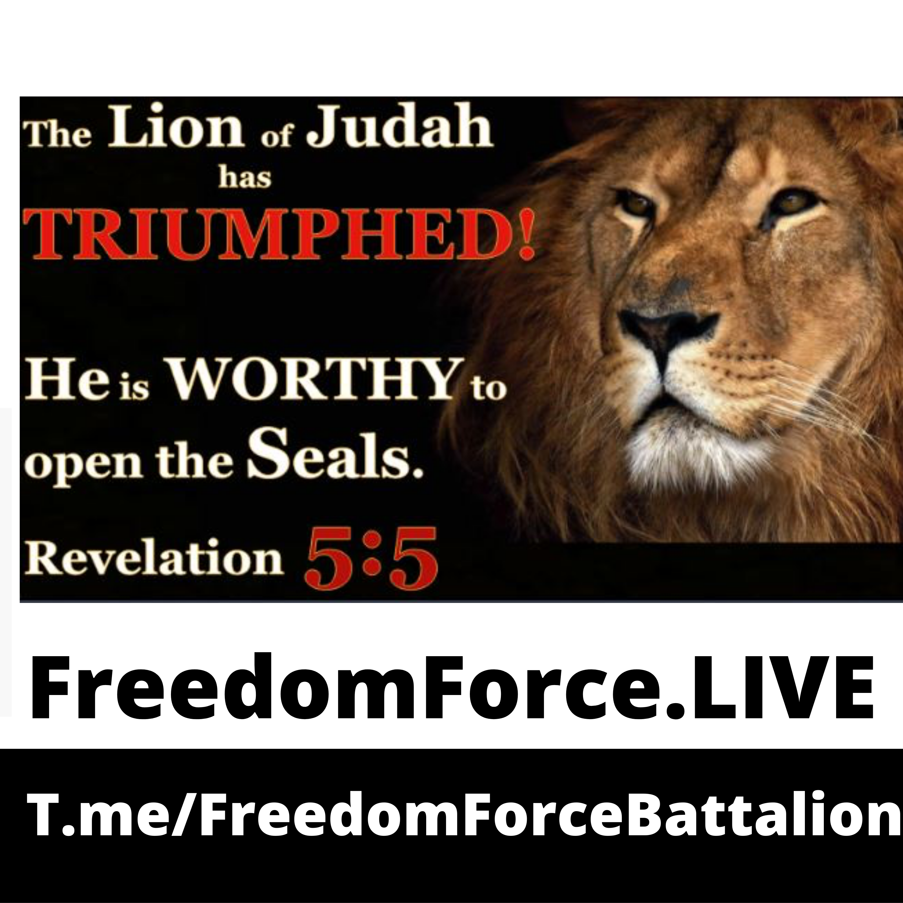 Lion of Judah 12.18.18