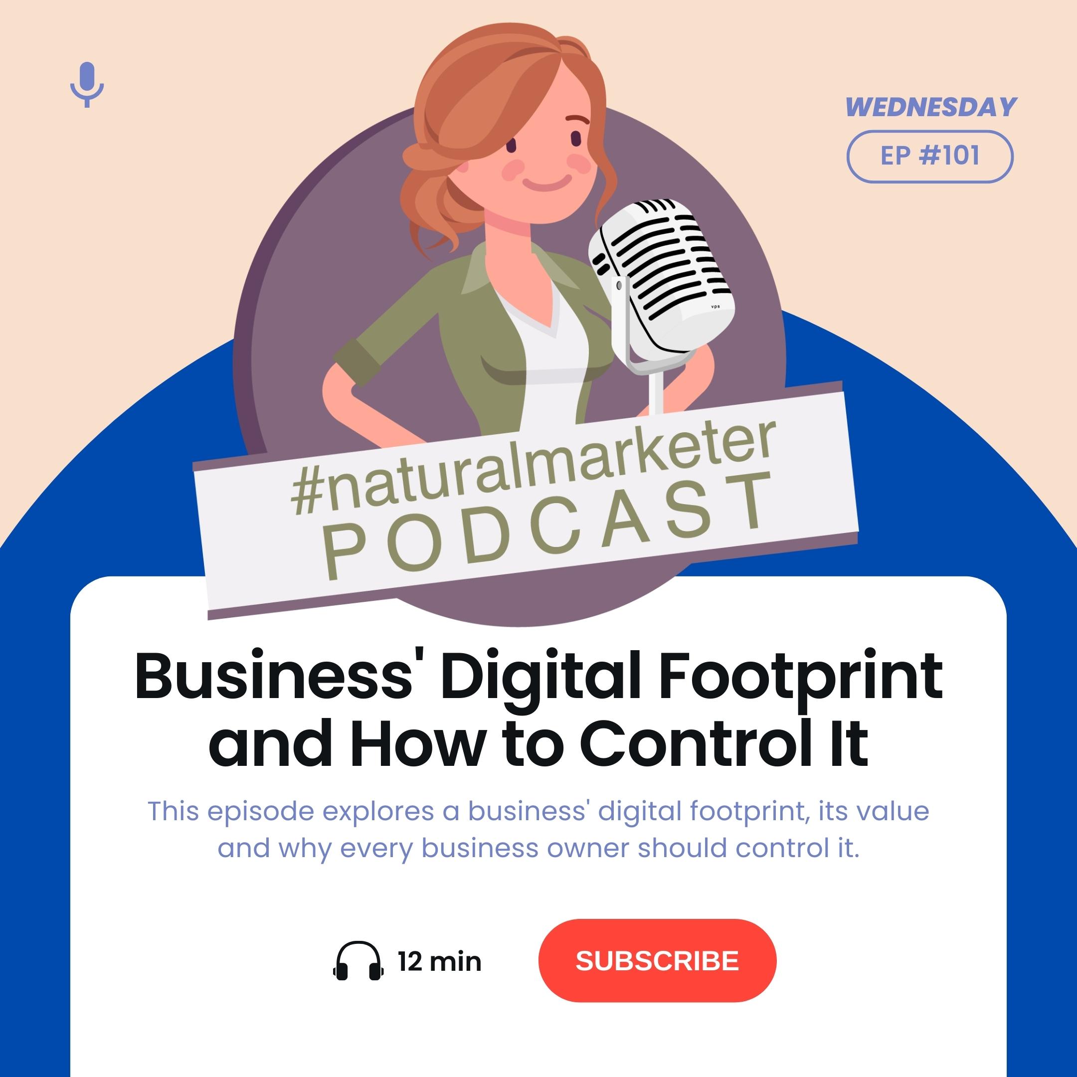 Episode 101: Business' Digital Footprint and How to Control It