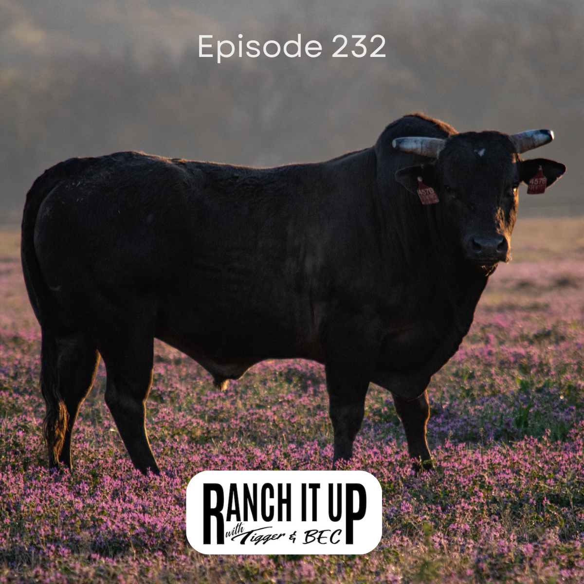 Ranch it Up Show Episode 232