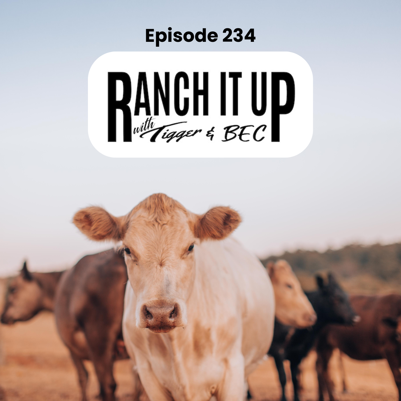 Episode Cover
