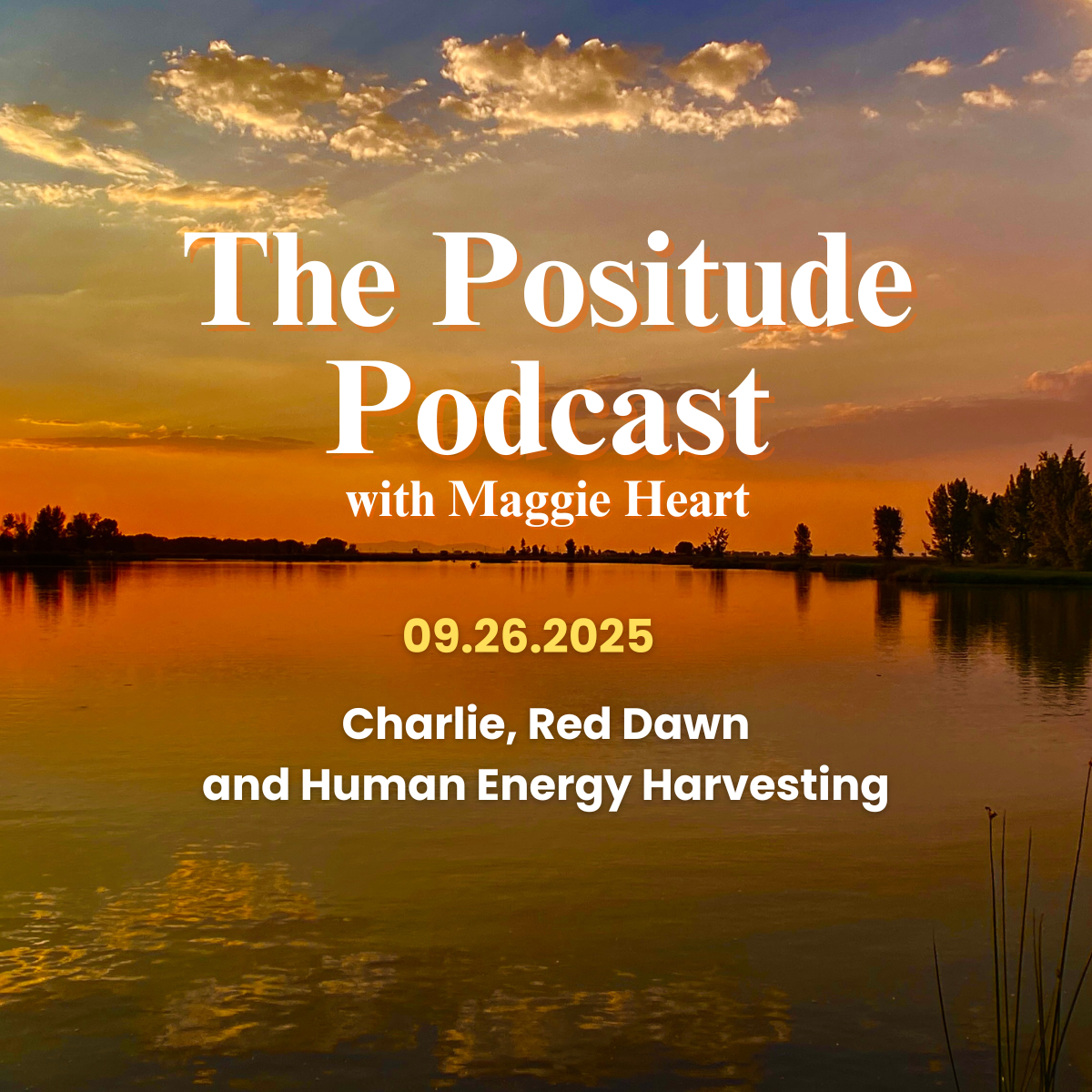 Positude Podcast: Charlie, Red Dawn and Human Energy Harvesting