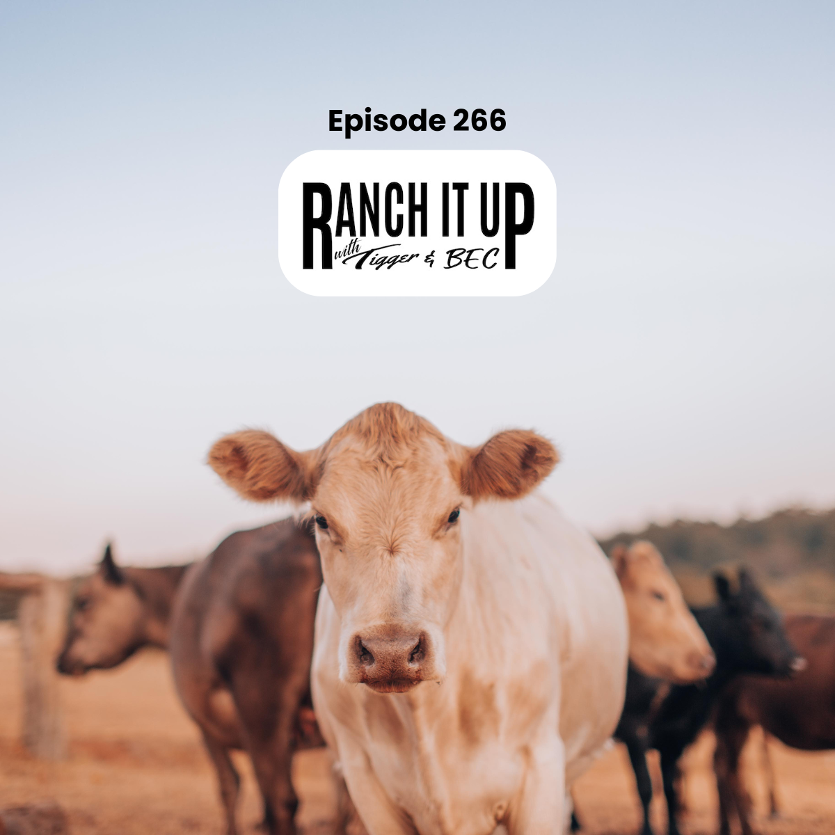 Ranch it Up Radio Show Episode 266