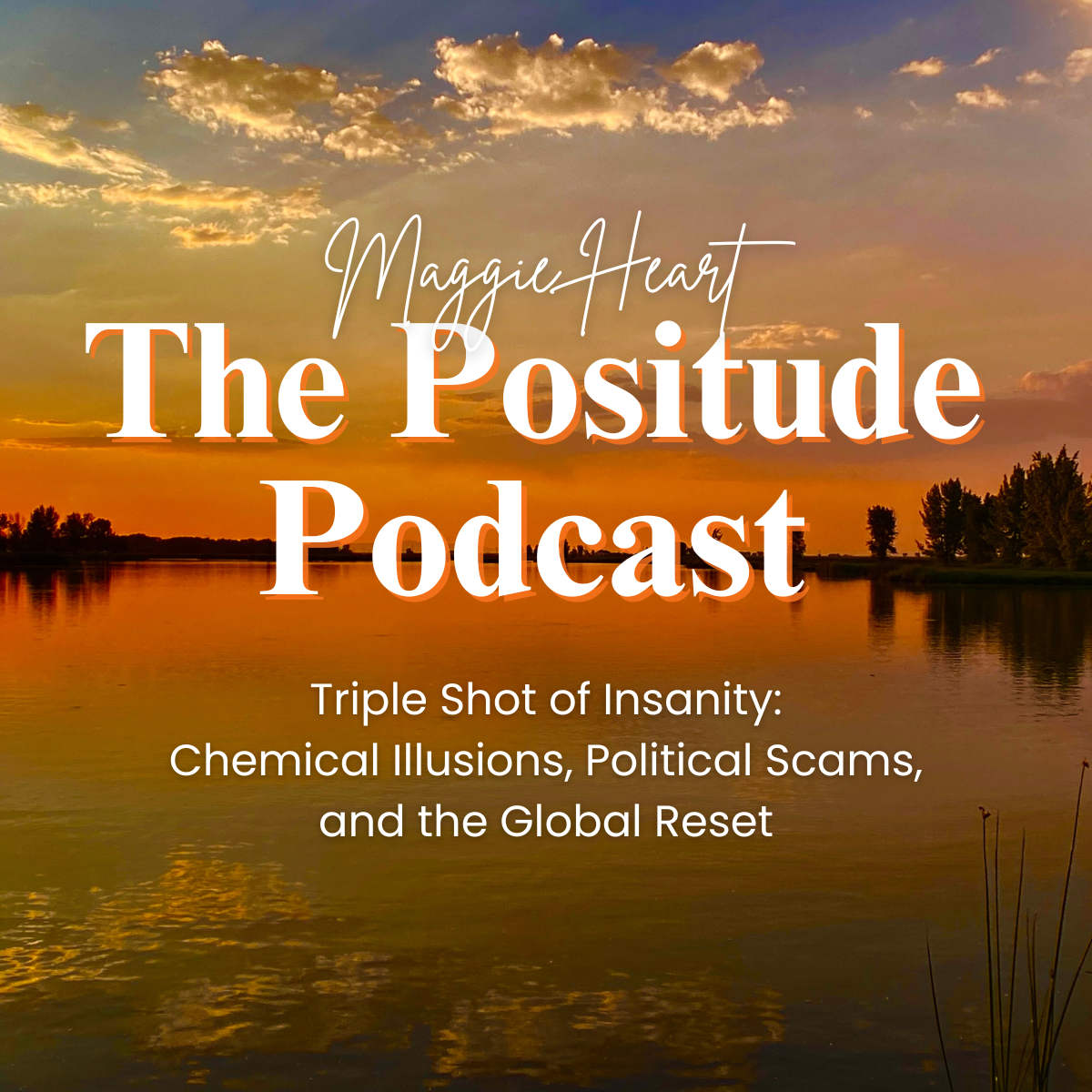 The Positude Podcast: Triple Shot of Insanity: Chemical Illusions, Political Scams, and the Global Reset