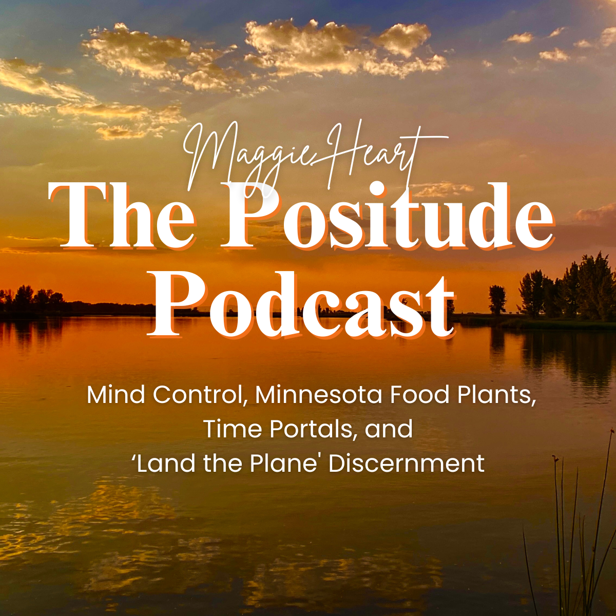 The Positude Podcast: Mind Control, Minnesota Food Plants, Time Portals, and 'Land the Plane' Discernment