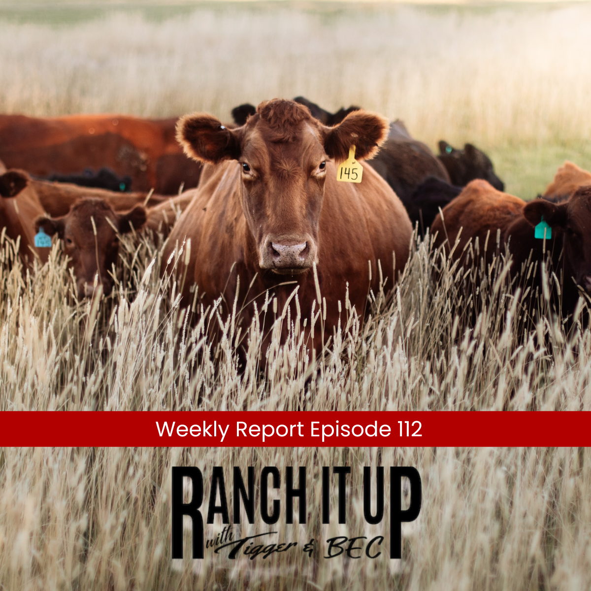 Ranch it Up Radio Weekly Report Episode 112