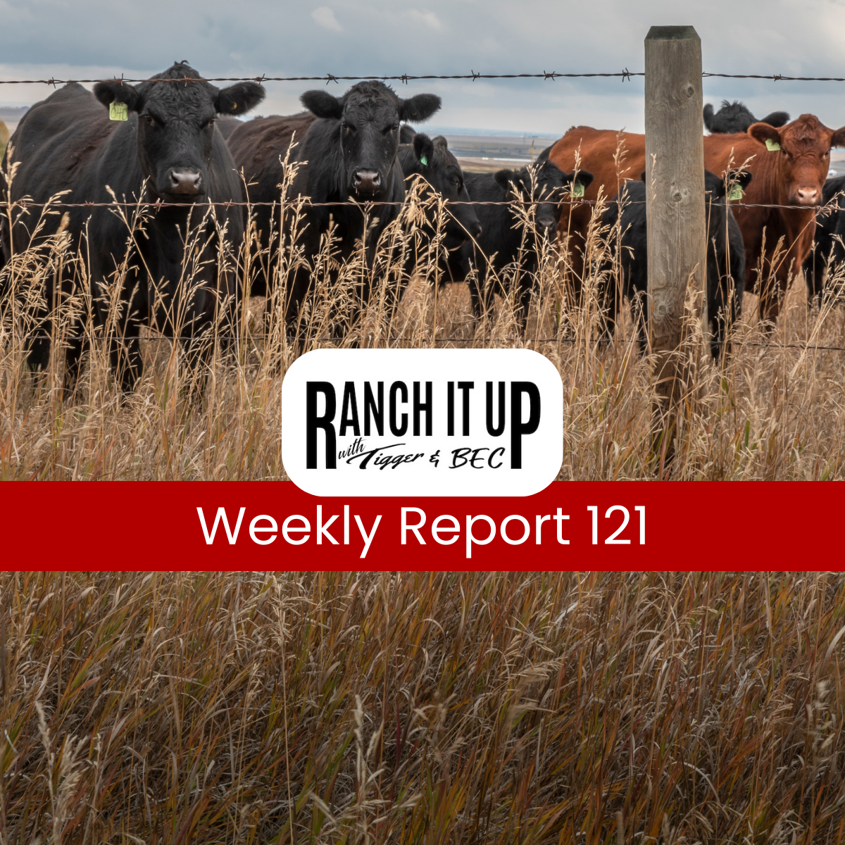 Ranch It Up Radio Weekly Report Episode 121