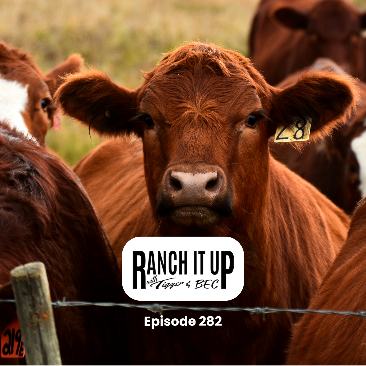 Ranch it Up Radio Show - Episode 282