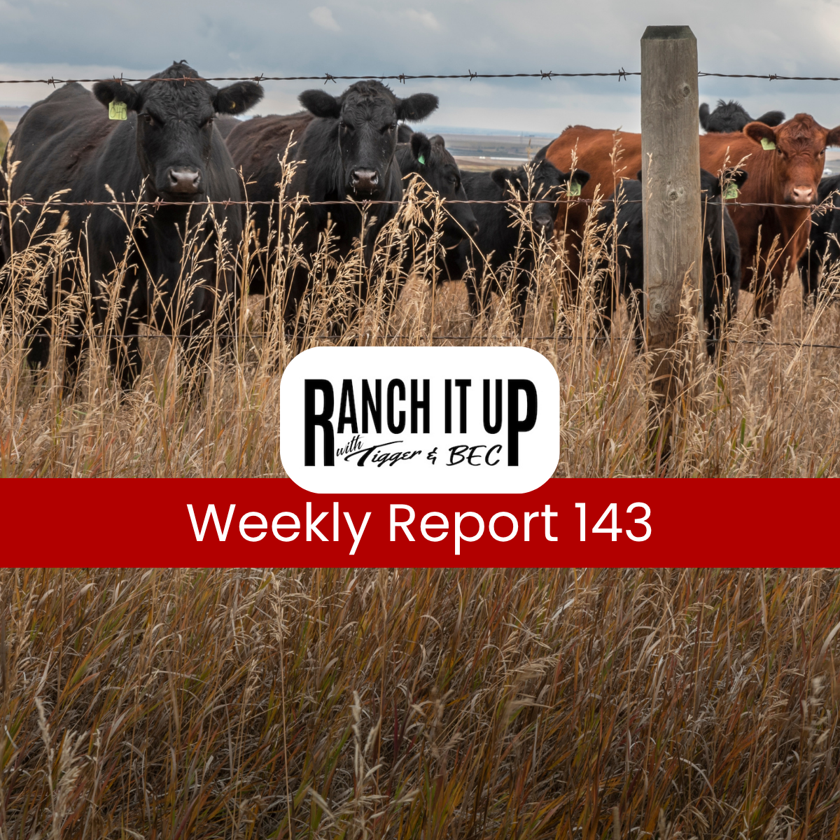 Ranch It Up Radio Weekly Report 143 episode artwork