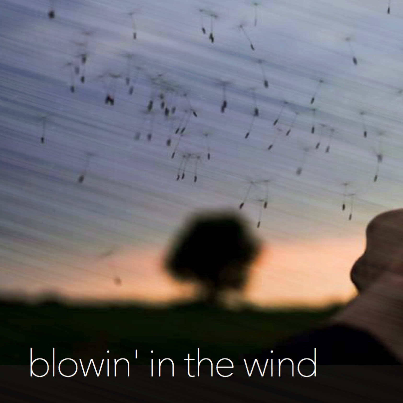 Ryan Post - "Blowin' in the Wind"