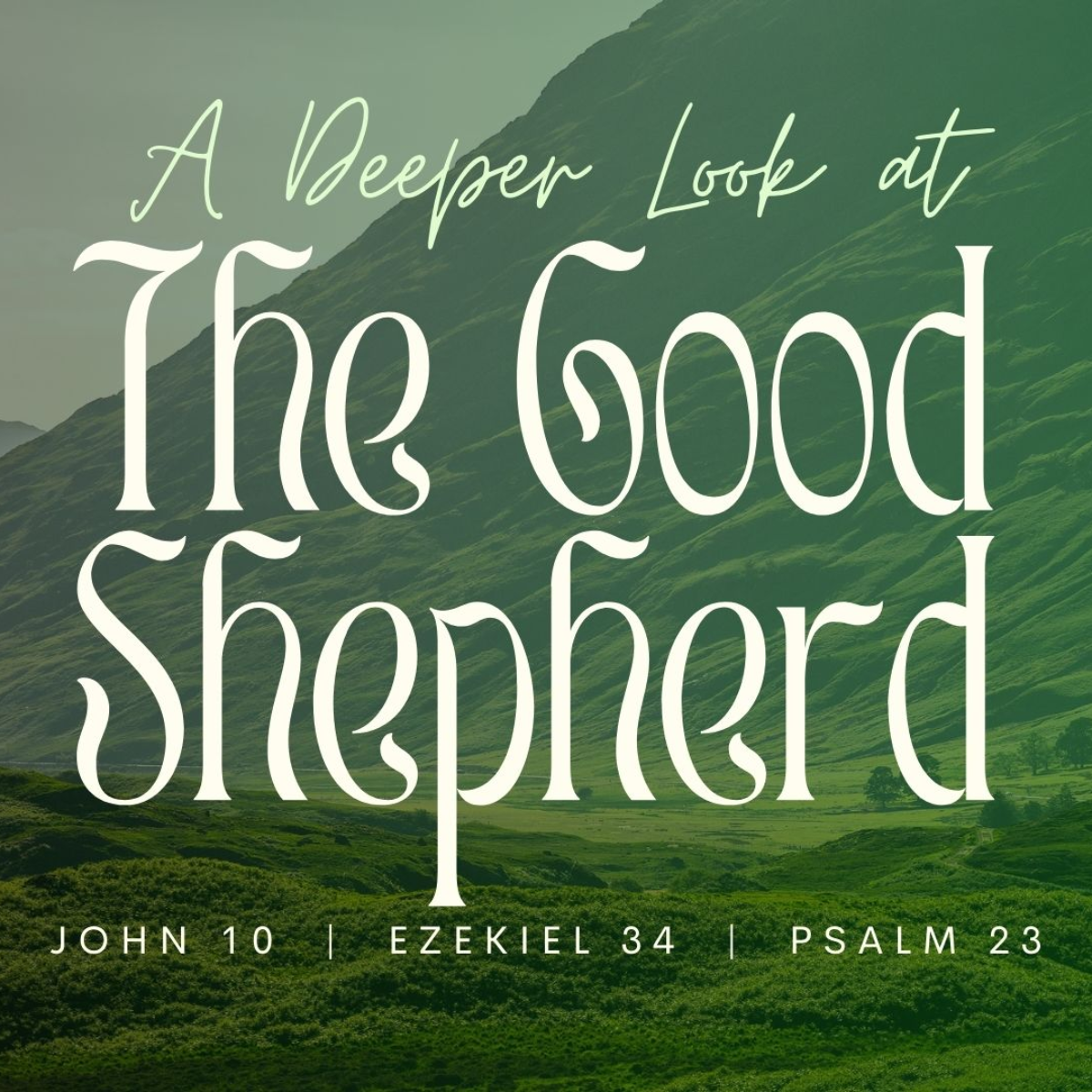Episode Cover