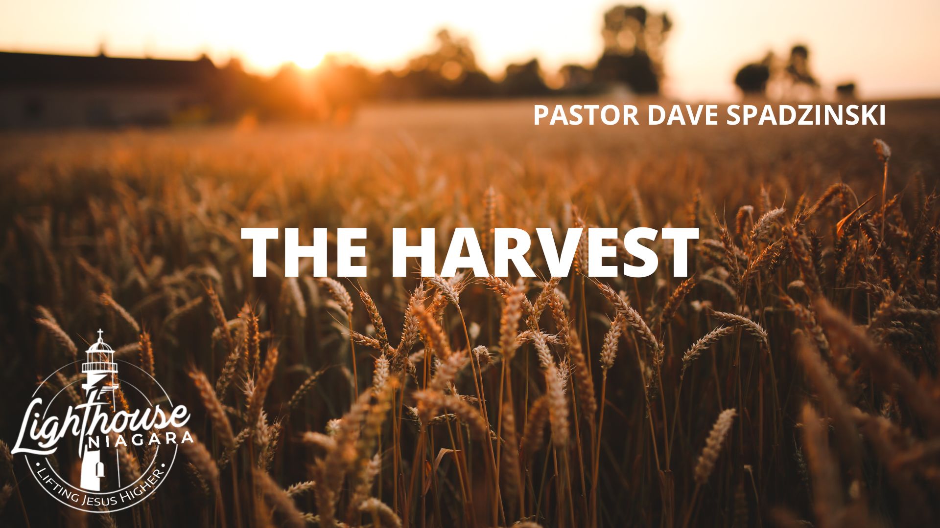 The Harvest - Pastor David Spadzinski