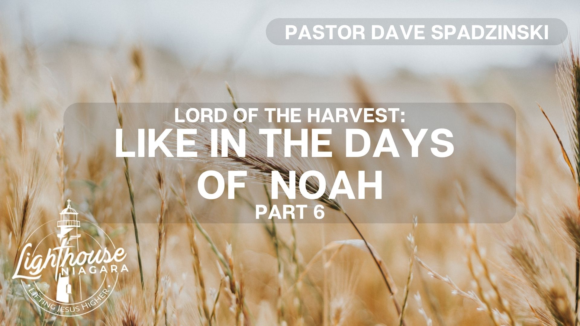 Lord Of The Harvest: Like In The Days Of Noah - Pastor Dave Spadzinski