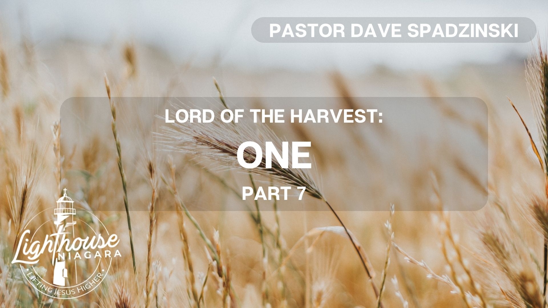 Lord Of The Harvest: One - Pastor Dave Spadzinski