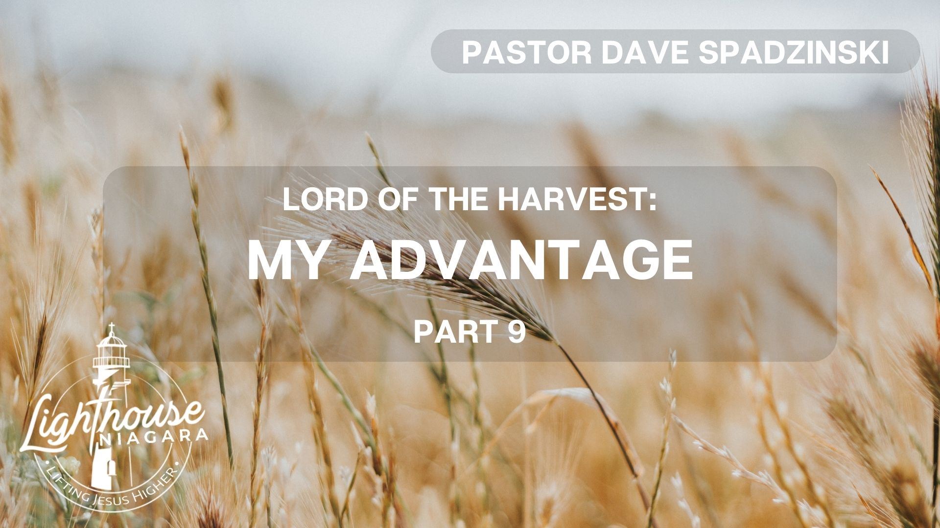 Lord Of The Harvest: My Advantage - Pastor Dave Spadzinski