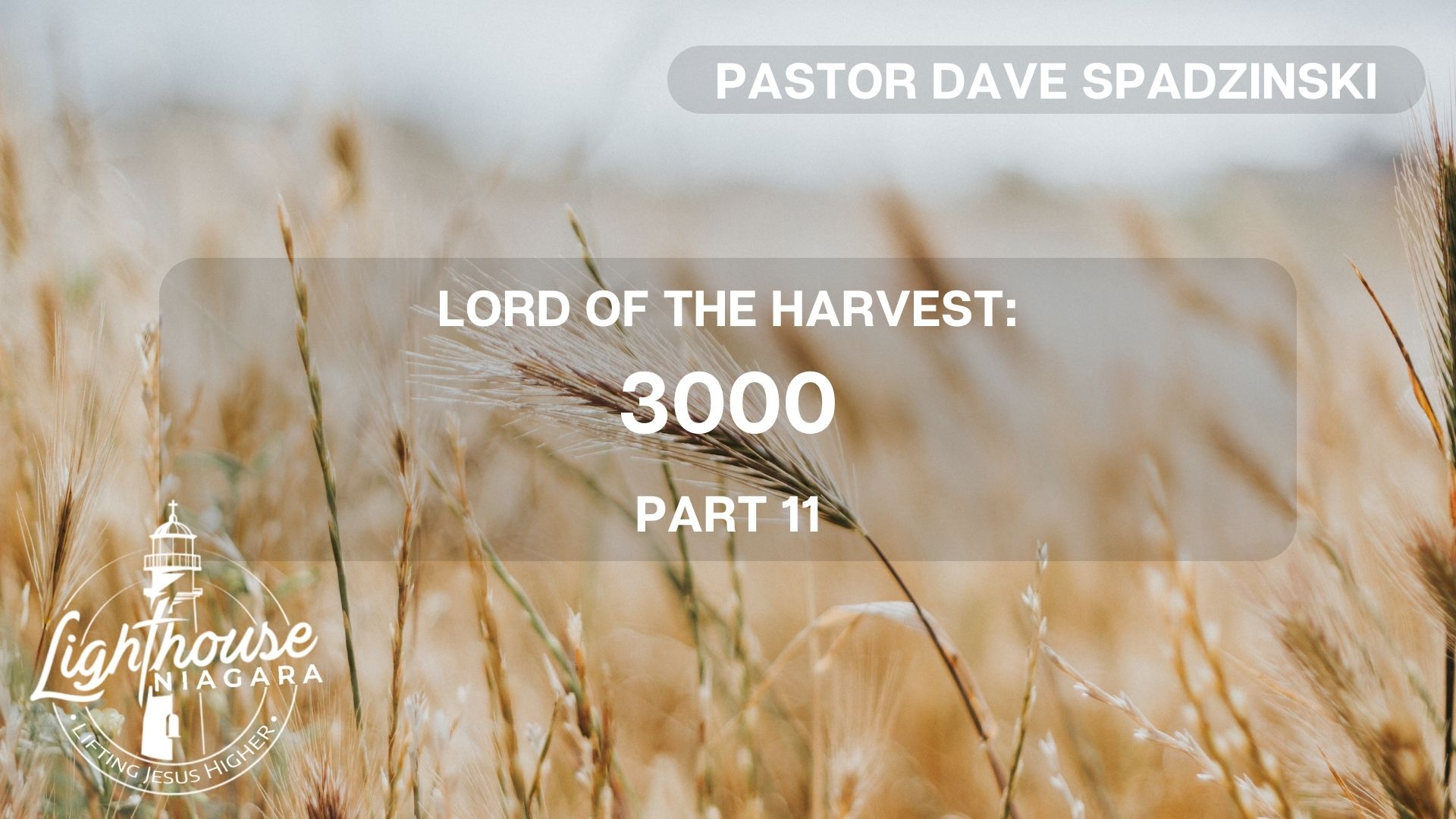 Lord Of The Harvest: 3000 - Pastor Dave Spadzinski