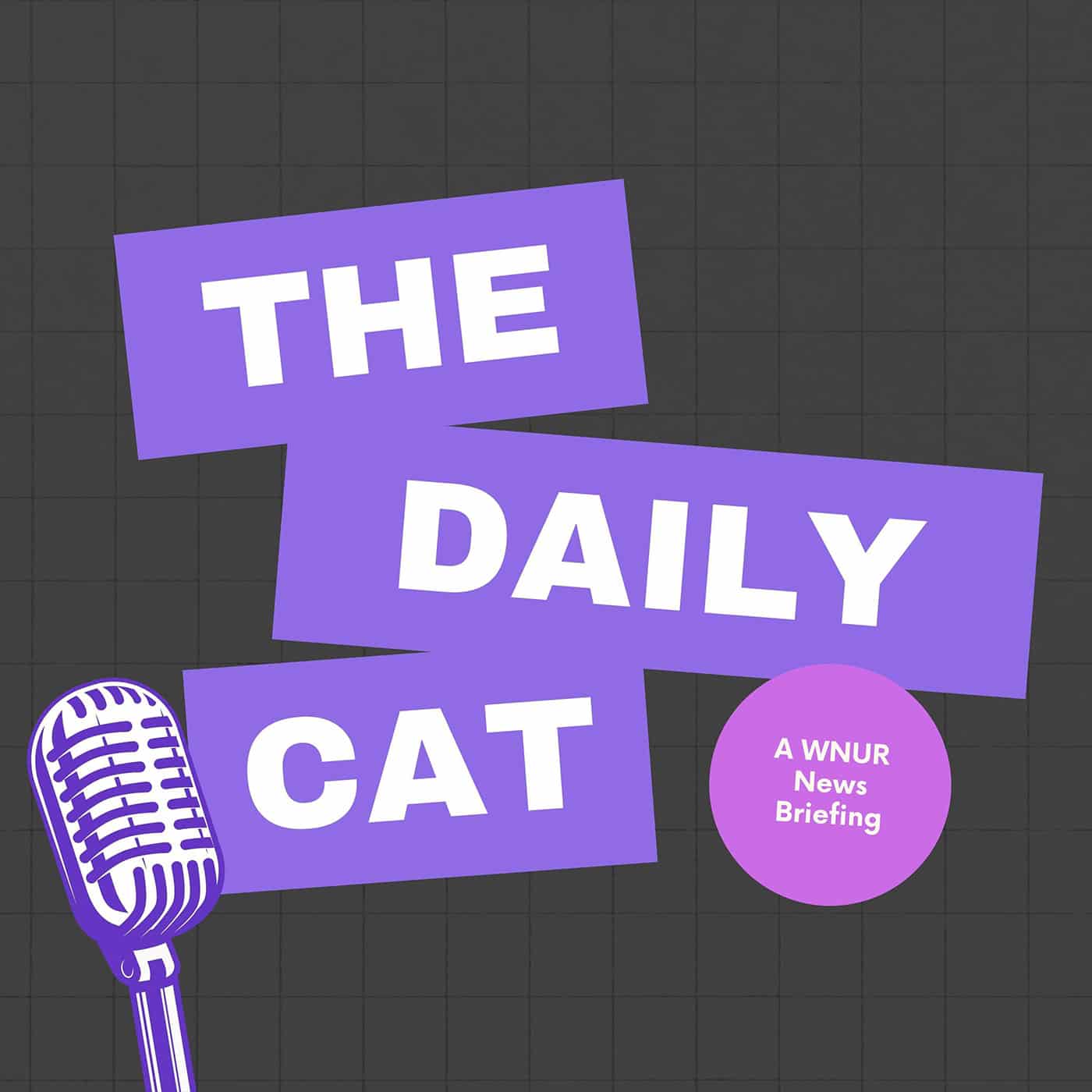 The Daily Cat | Fri. 10-07-22