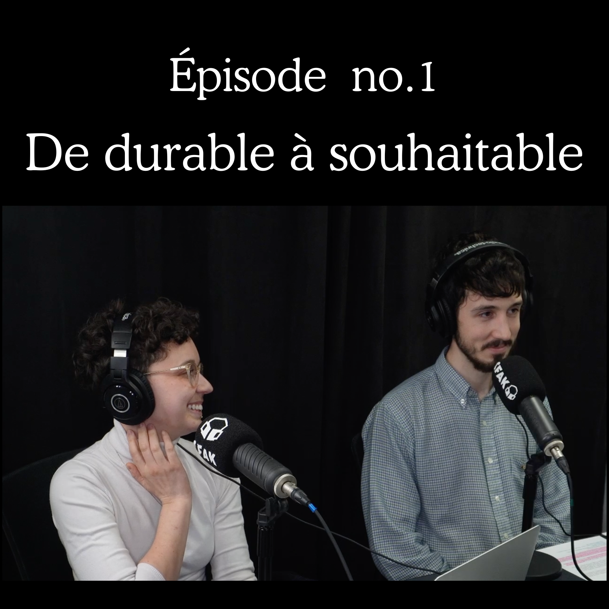 De durable à souhaitable