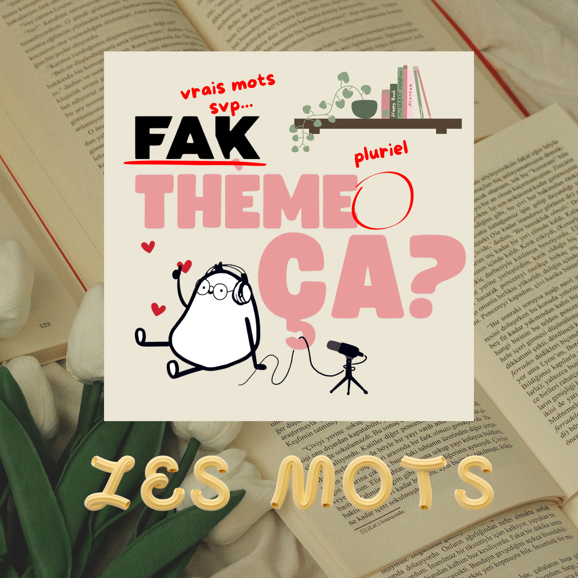 Ép. 13 - Fak thèmes ça les mots?