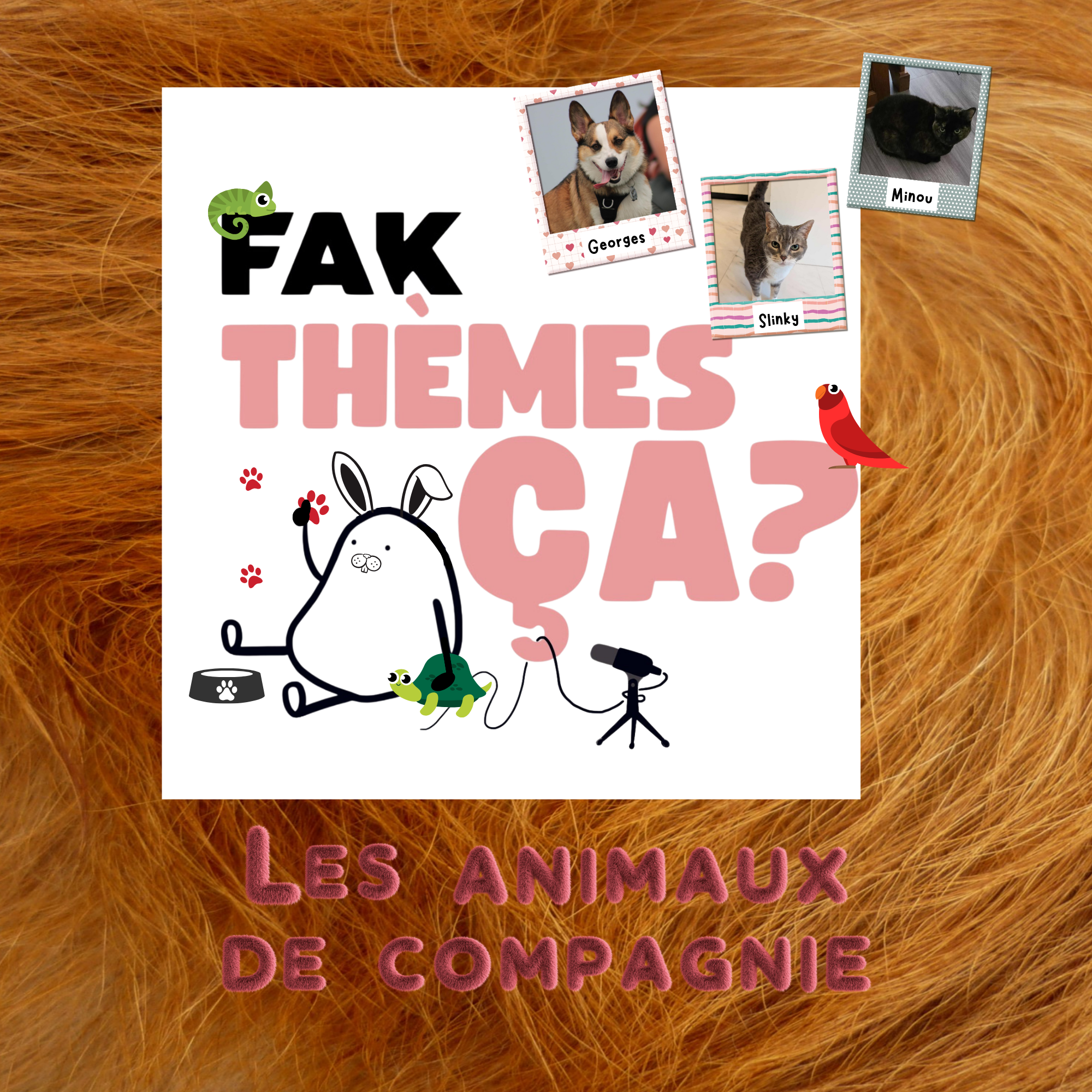 Ép. 17 - Fak thèmes ça les animaux de compagnies?